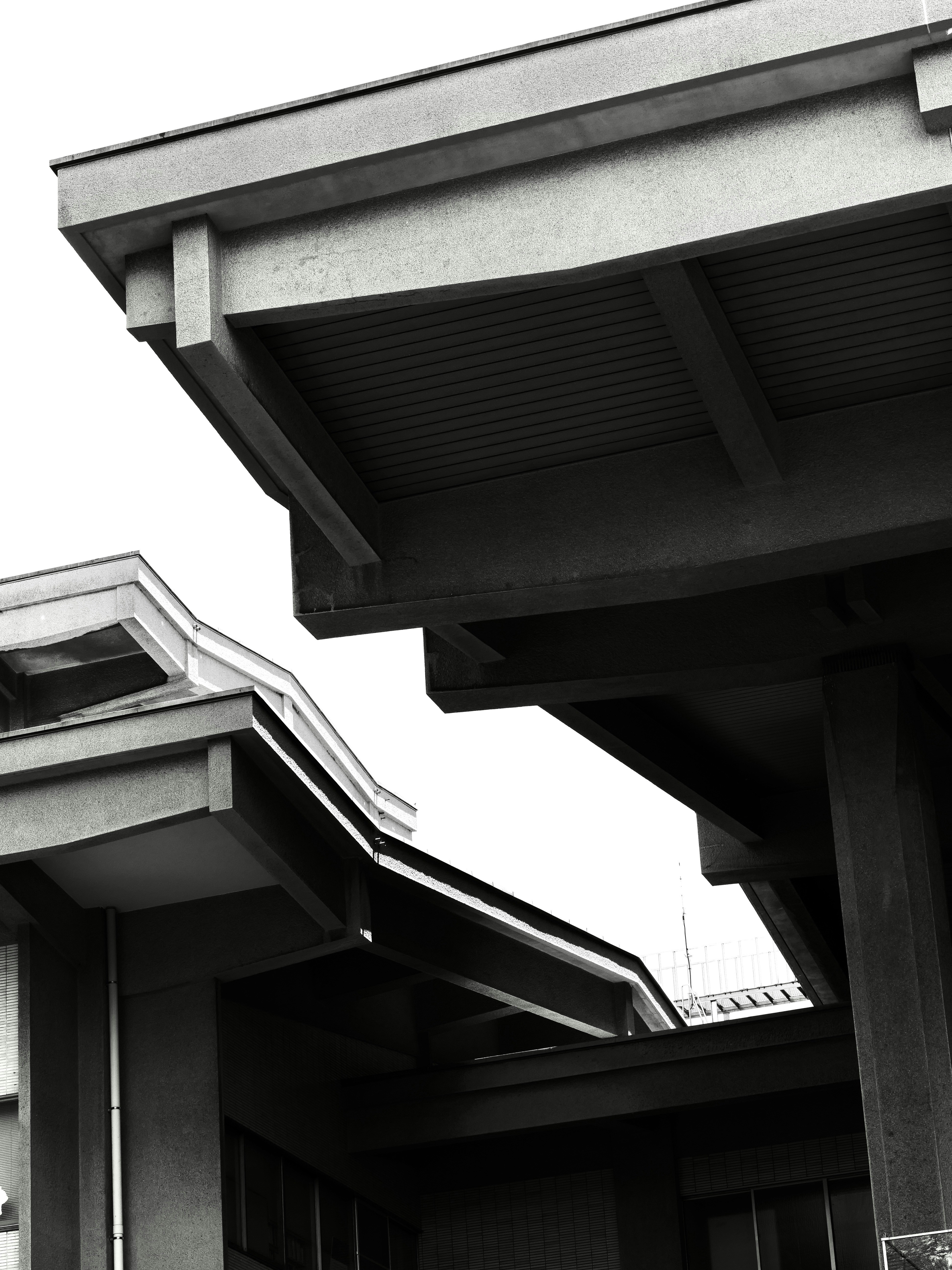 Photo by sschusterphotoart