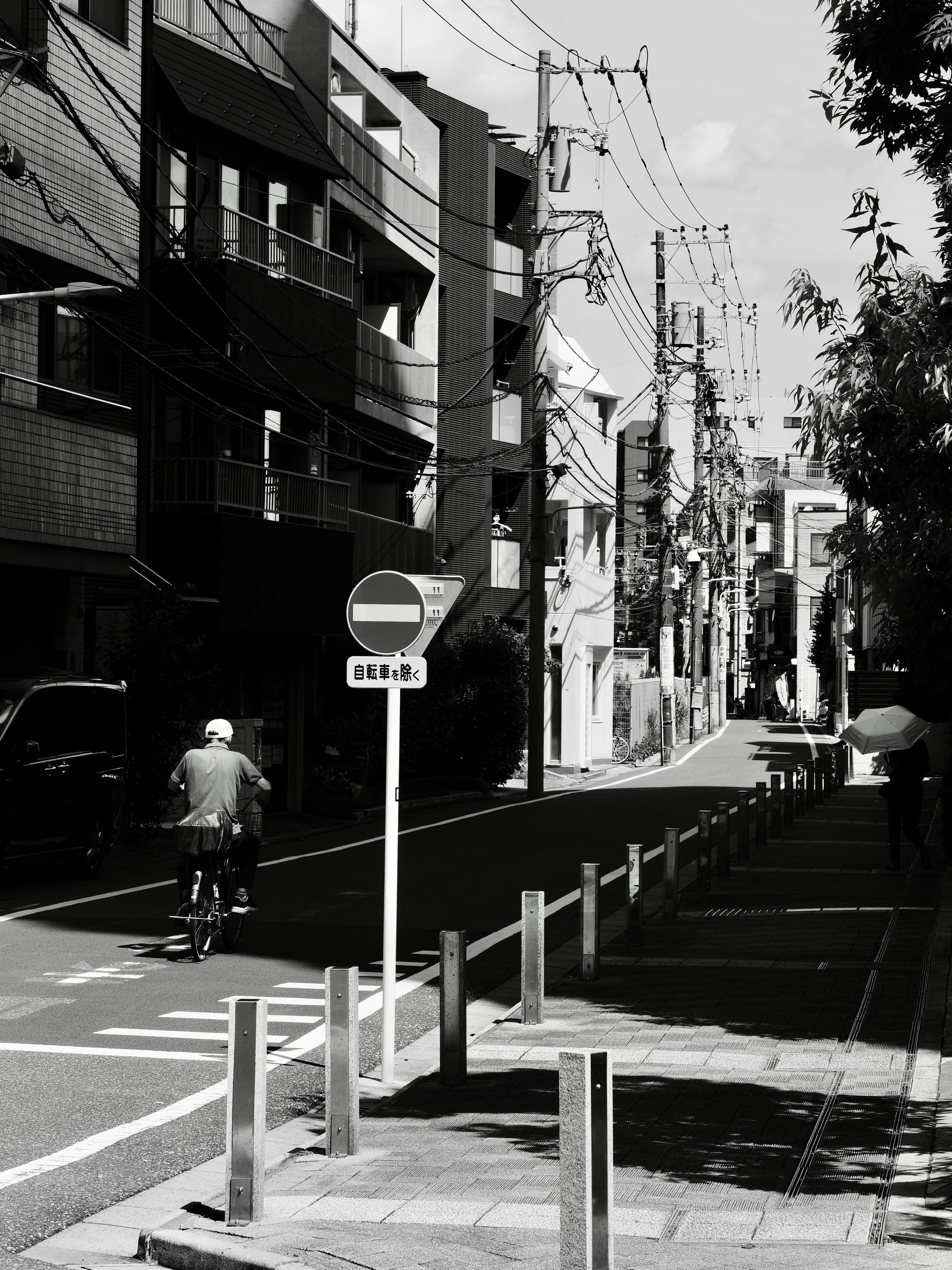 Photo by sschusterphotoart