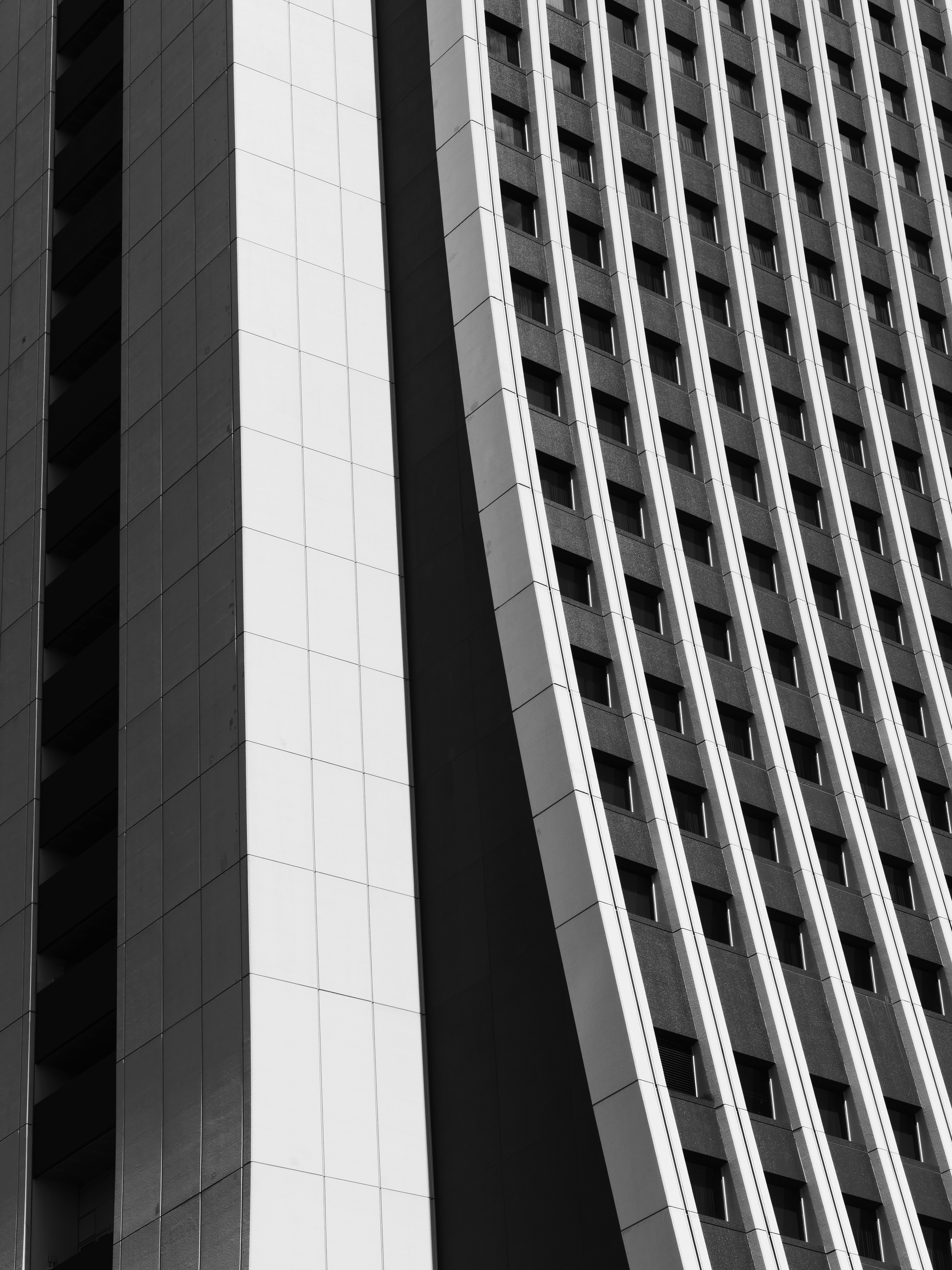 Photo by sschusterphotoart