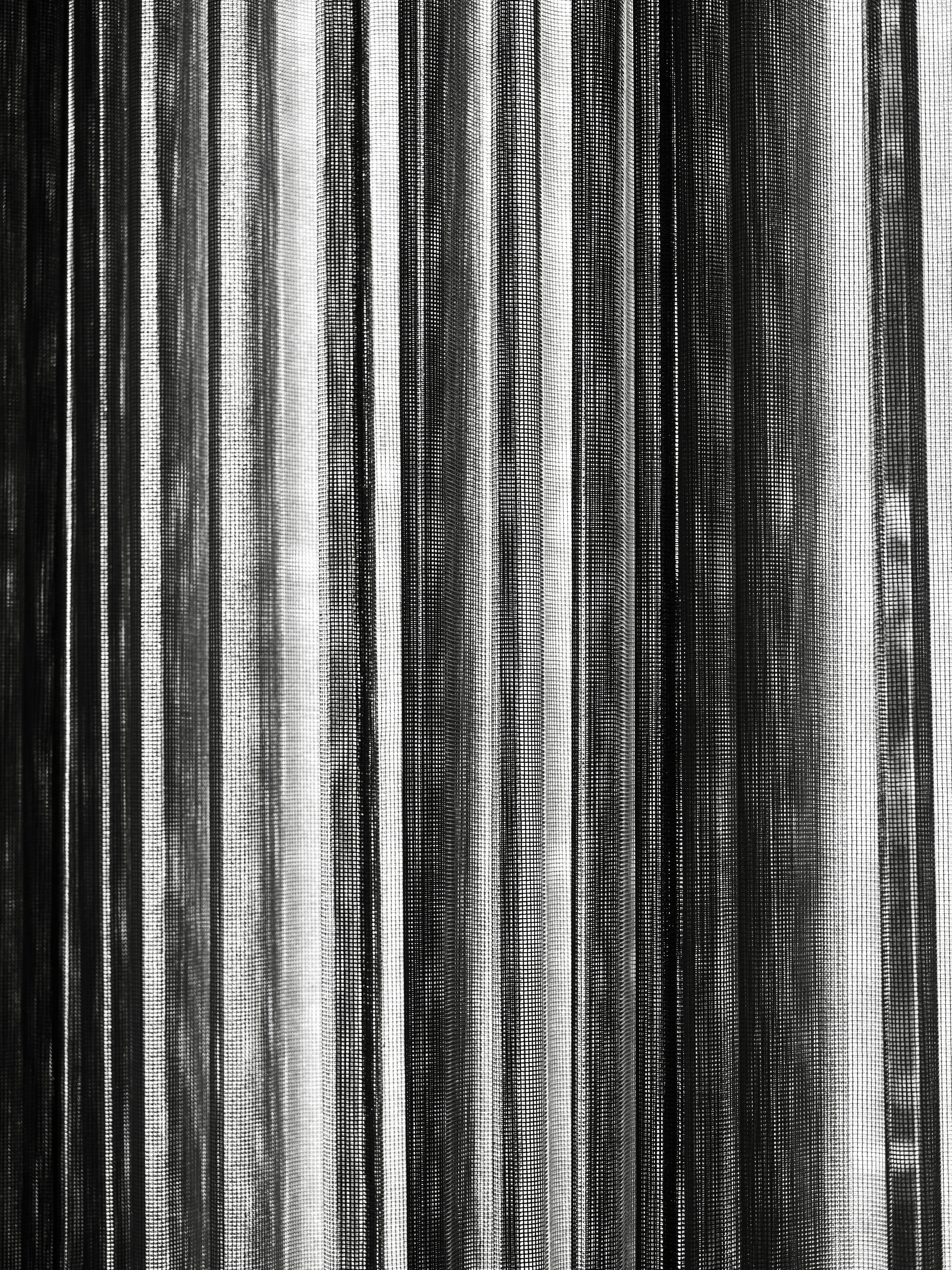 Photo by sschusterphotoart