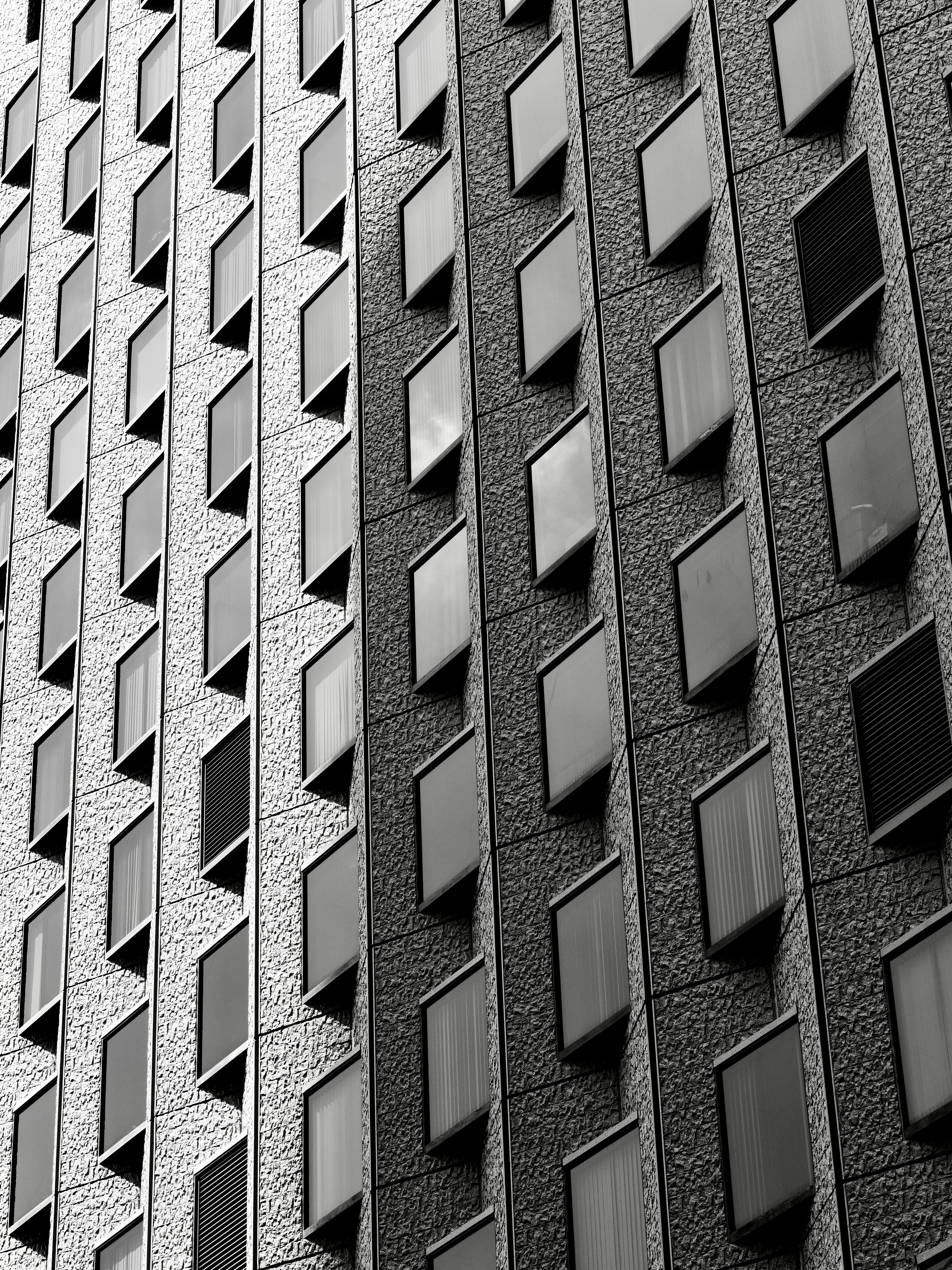 Photo by sschusterphotoart