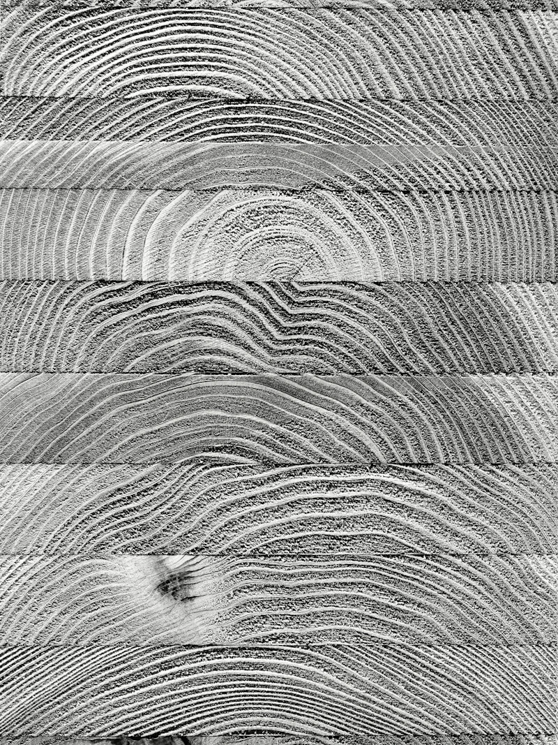Naturbelassenes Holz, Rohstoff für Holzpellets