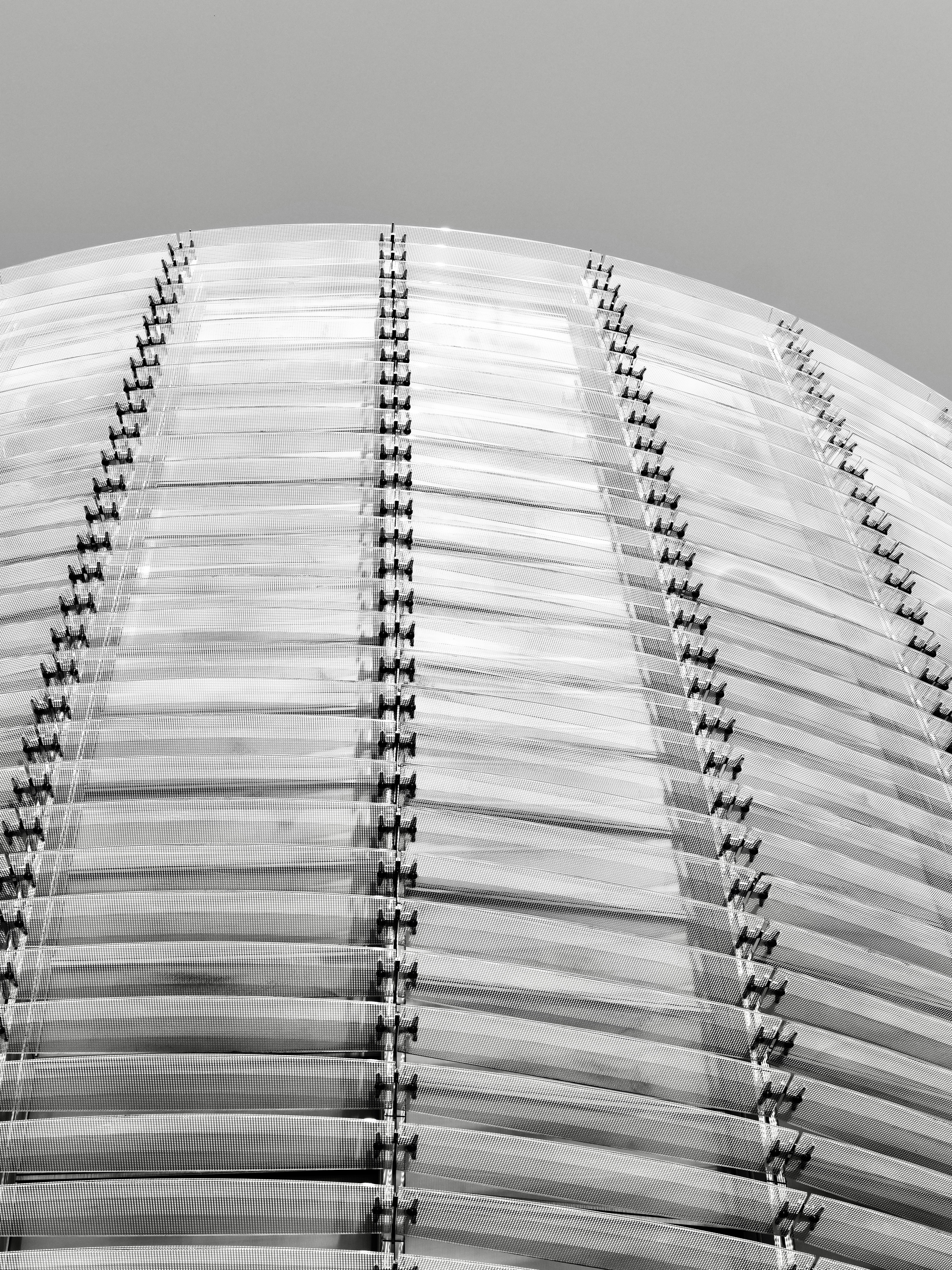 Photo by sschusterphotoart