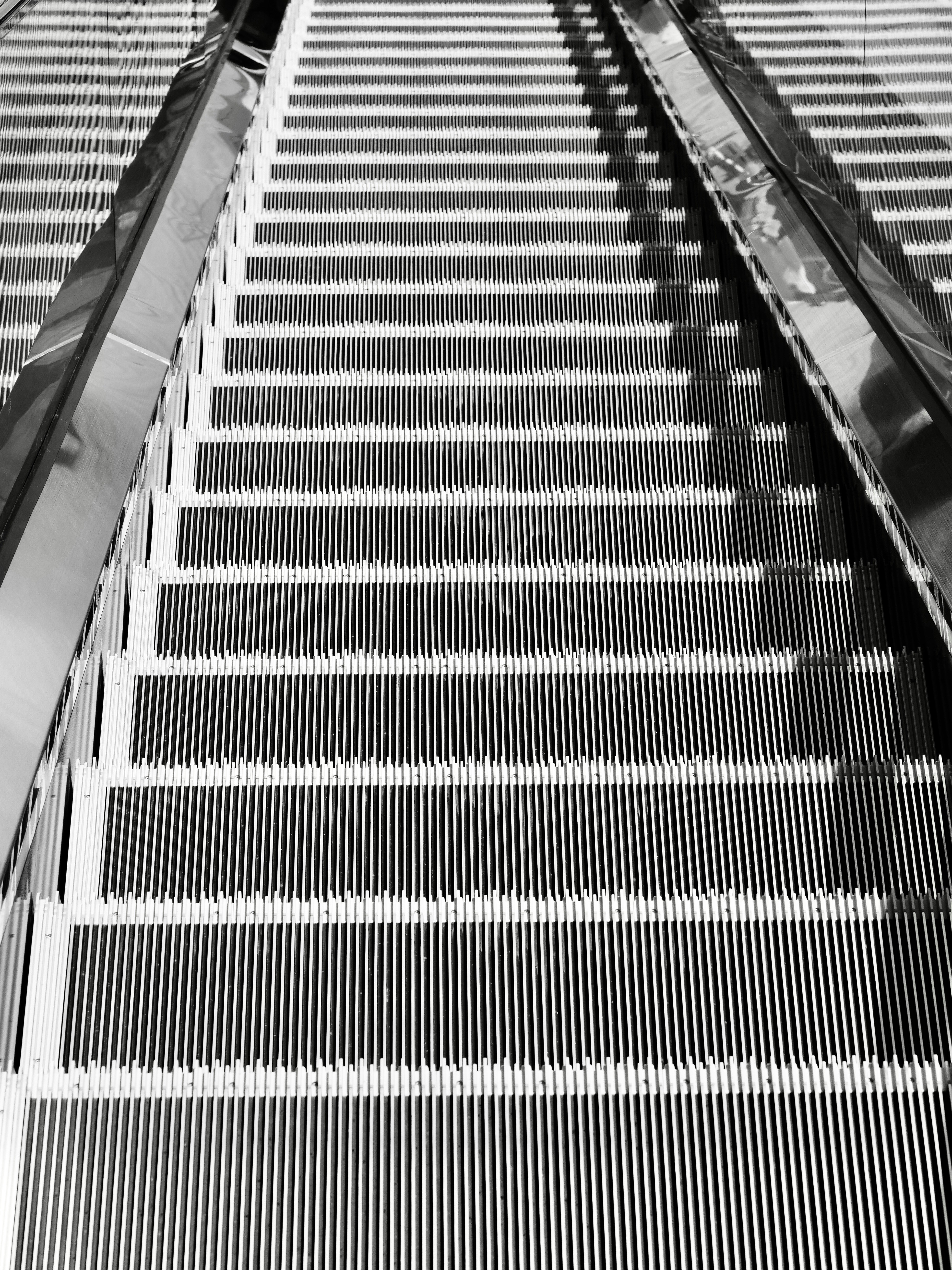 Photo by sschusterphotoart