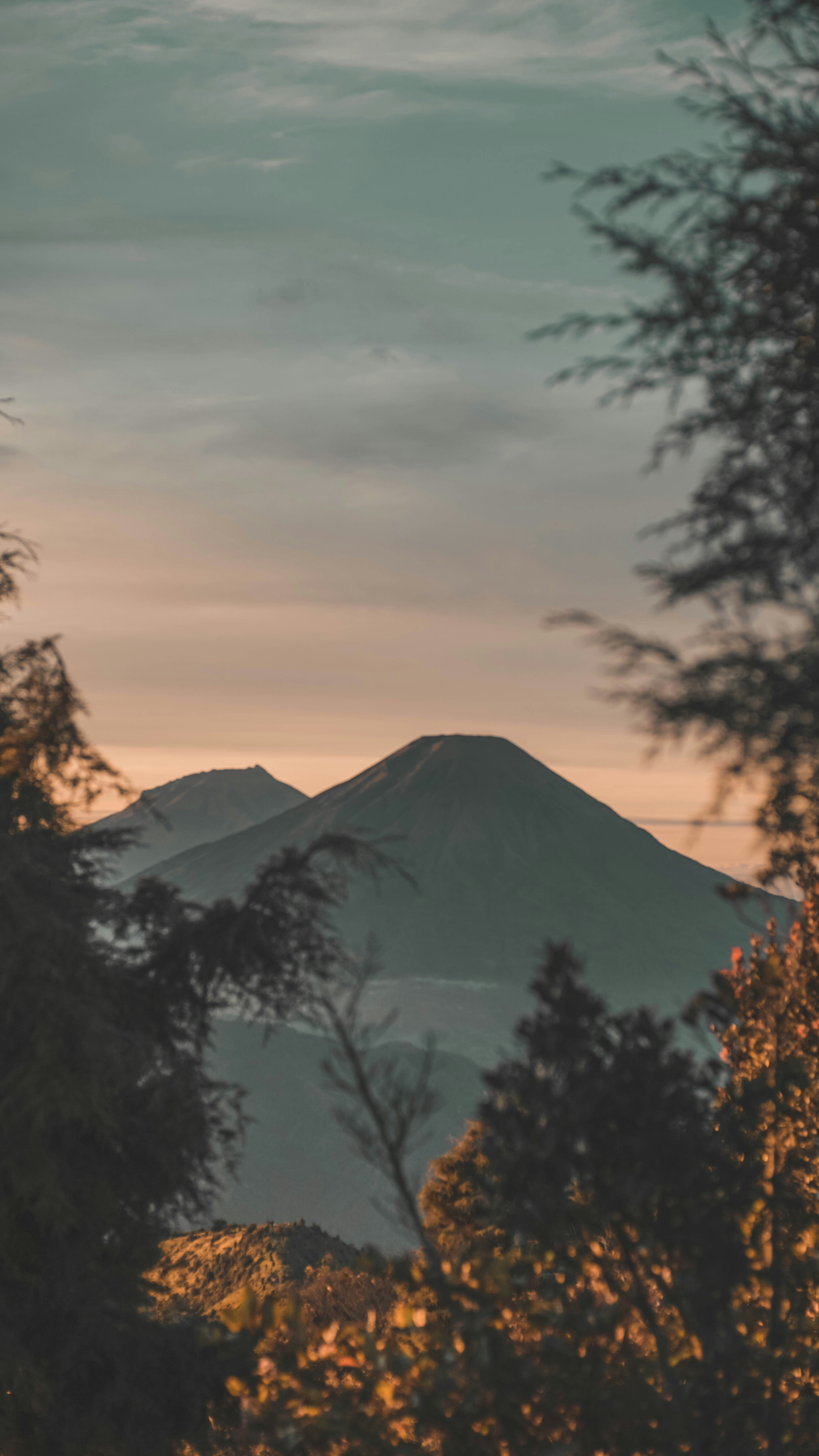Mountain peaks visible through trees at sunset