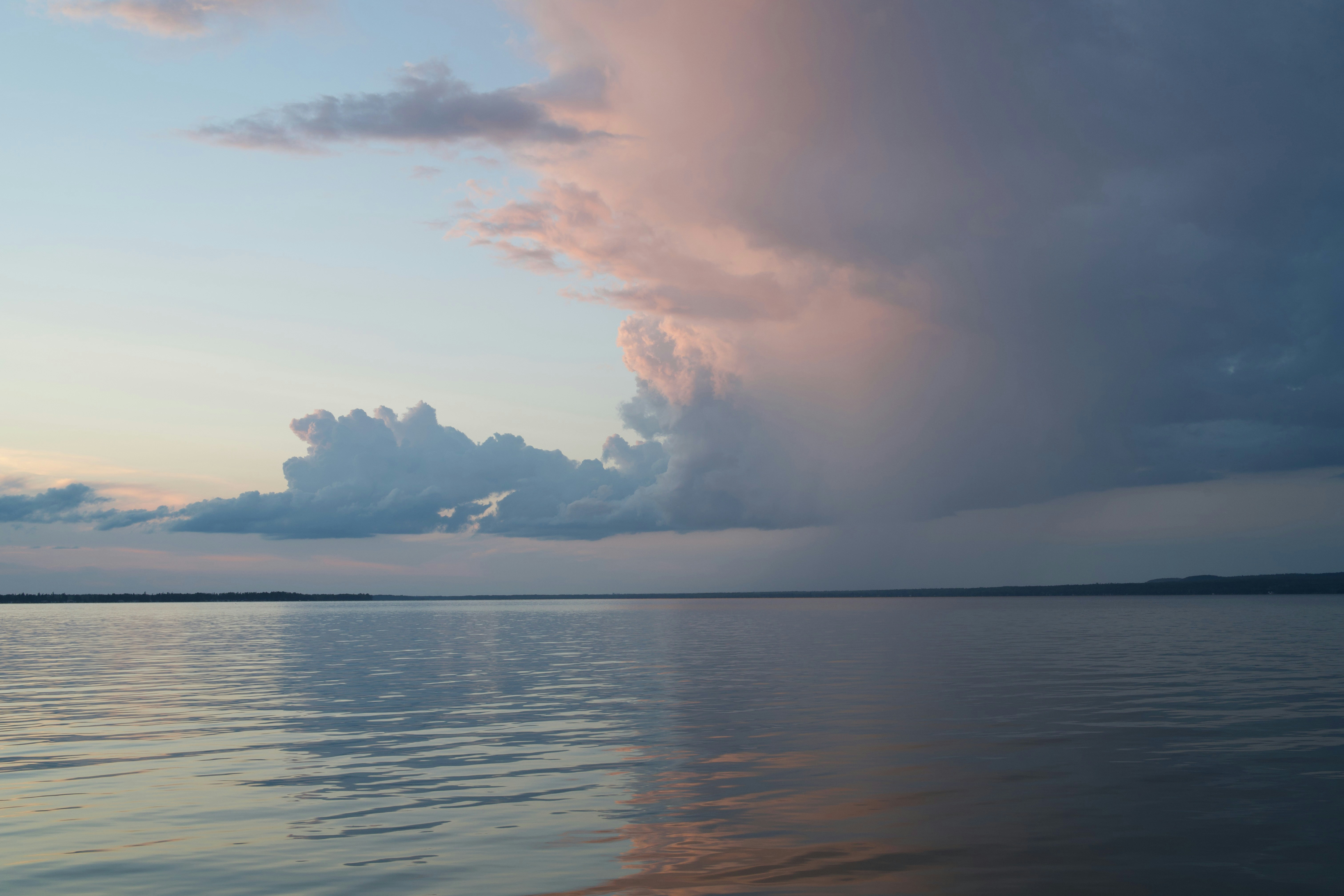 Photo by coolbugfacts123