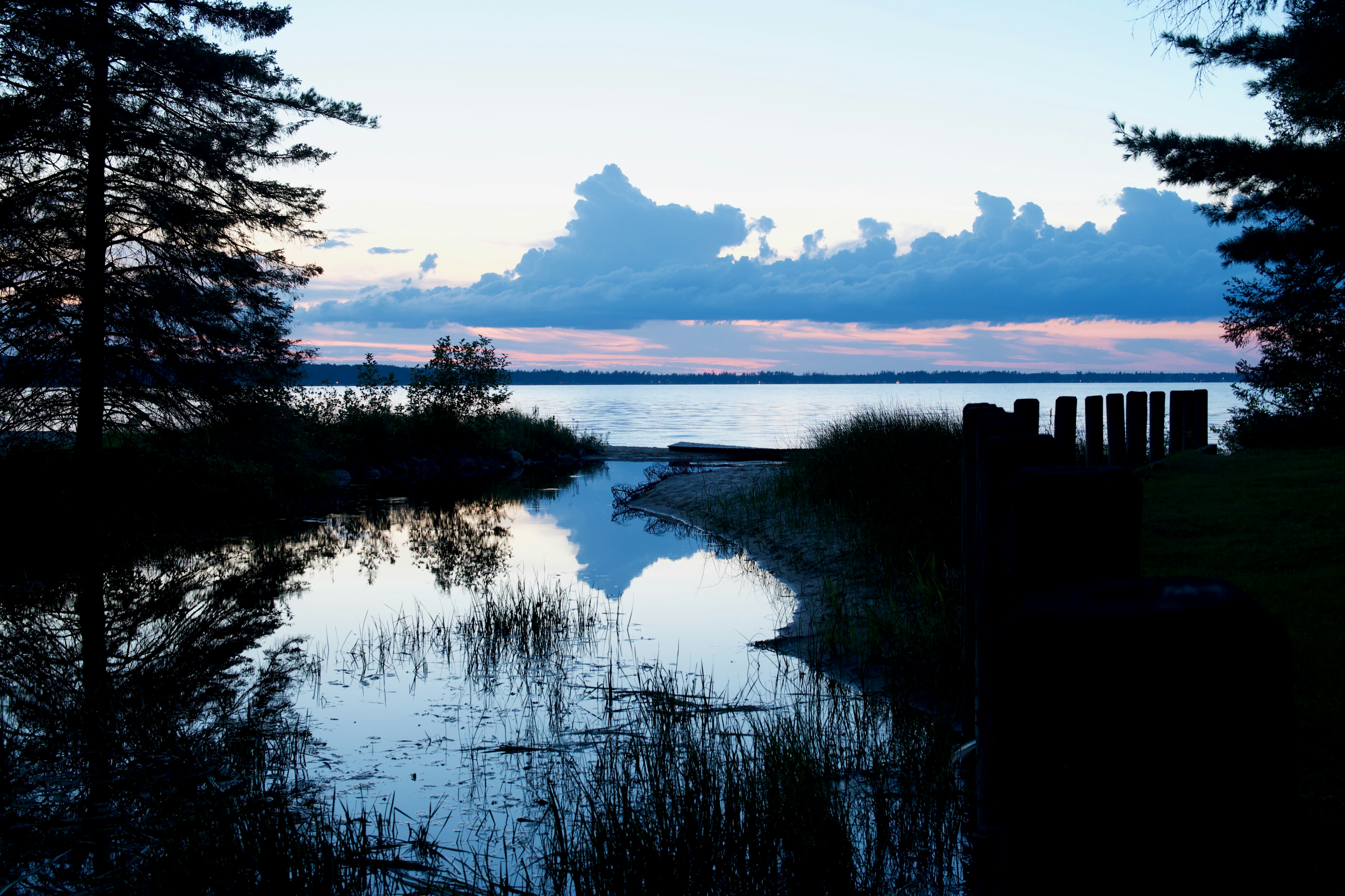 Photo by coolbugfacts123