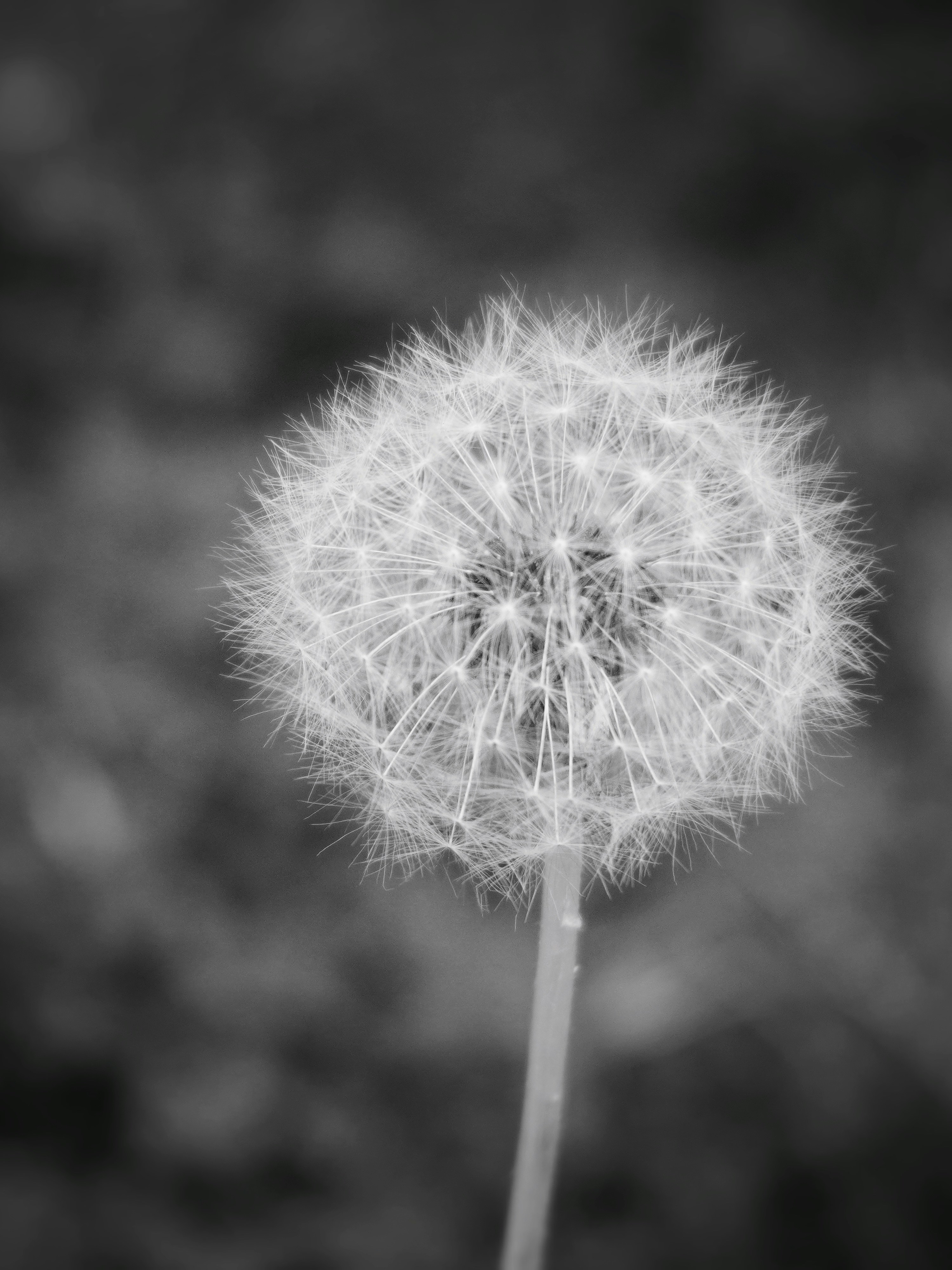 Photo by loveleencherub