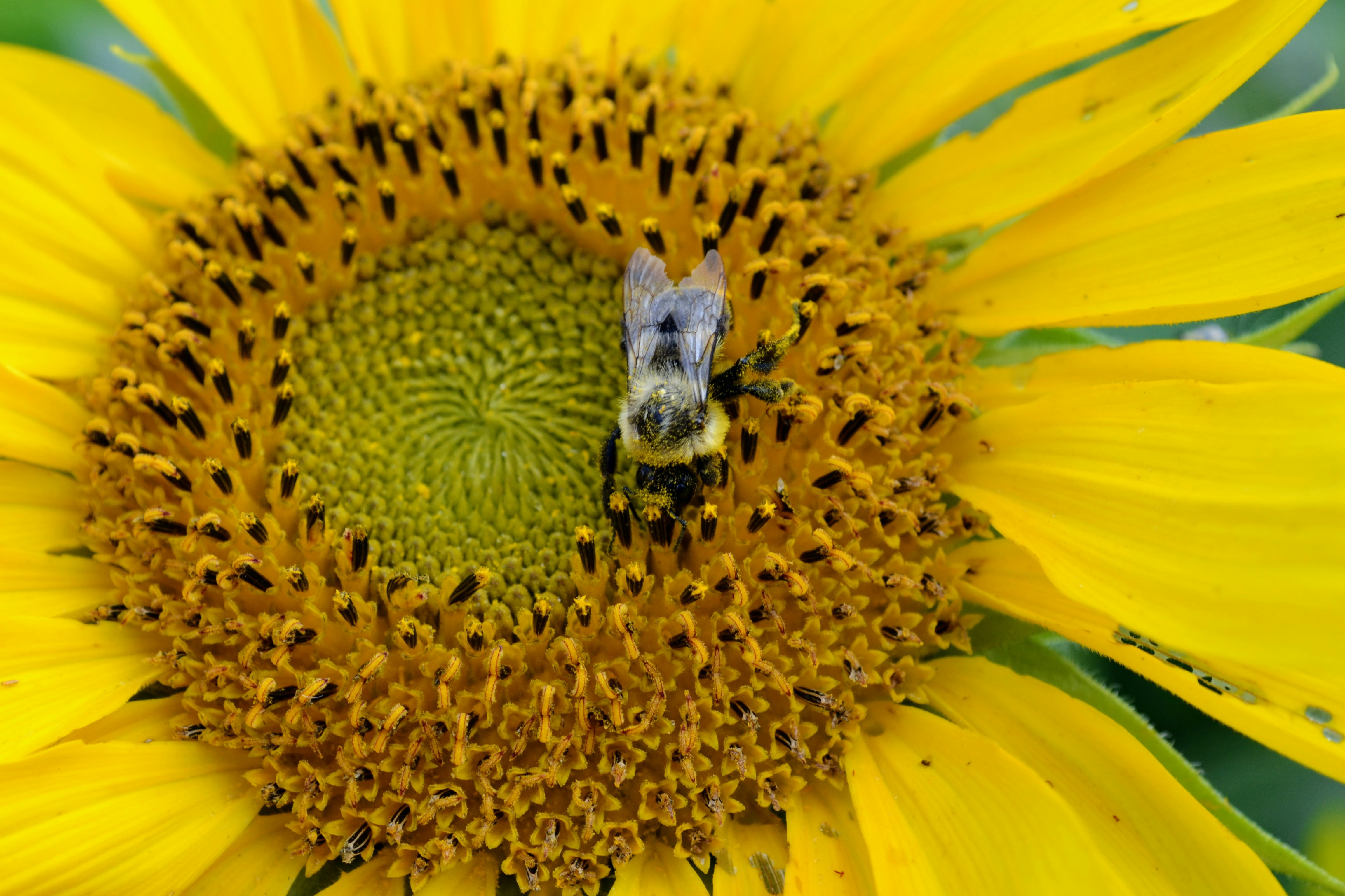 Photo by trailshutter