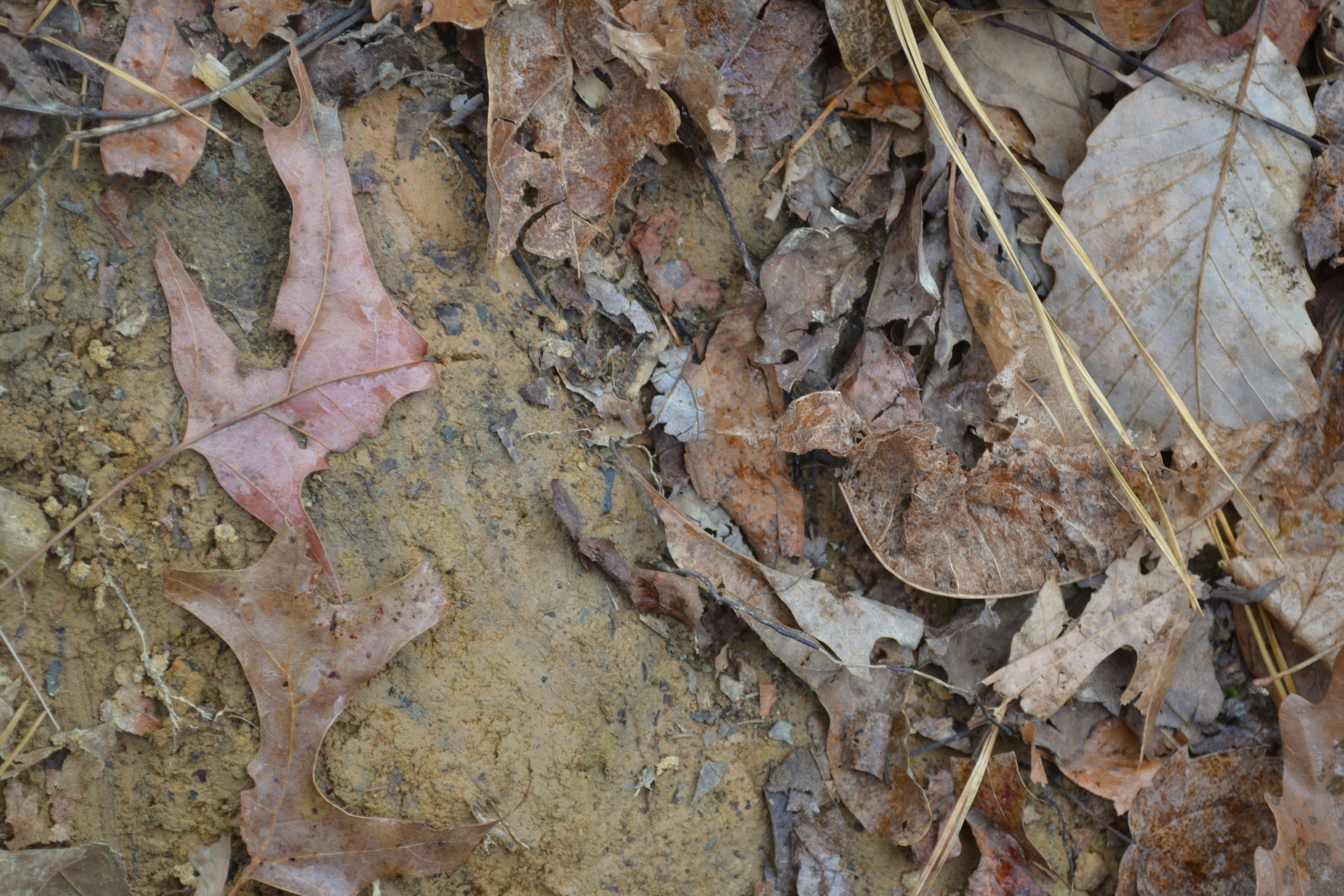 Photo by trailshutter