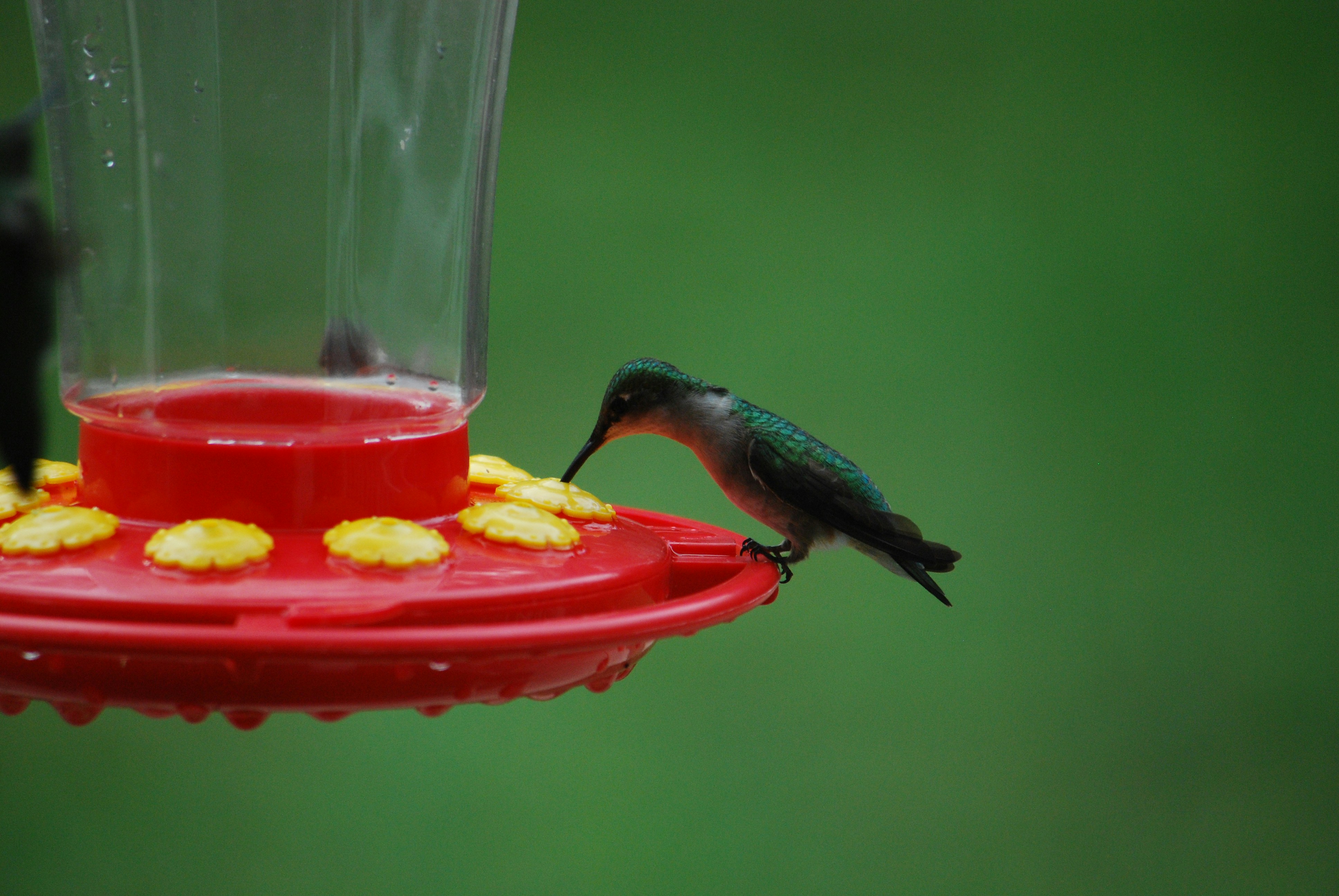 Photo by trailshutter