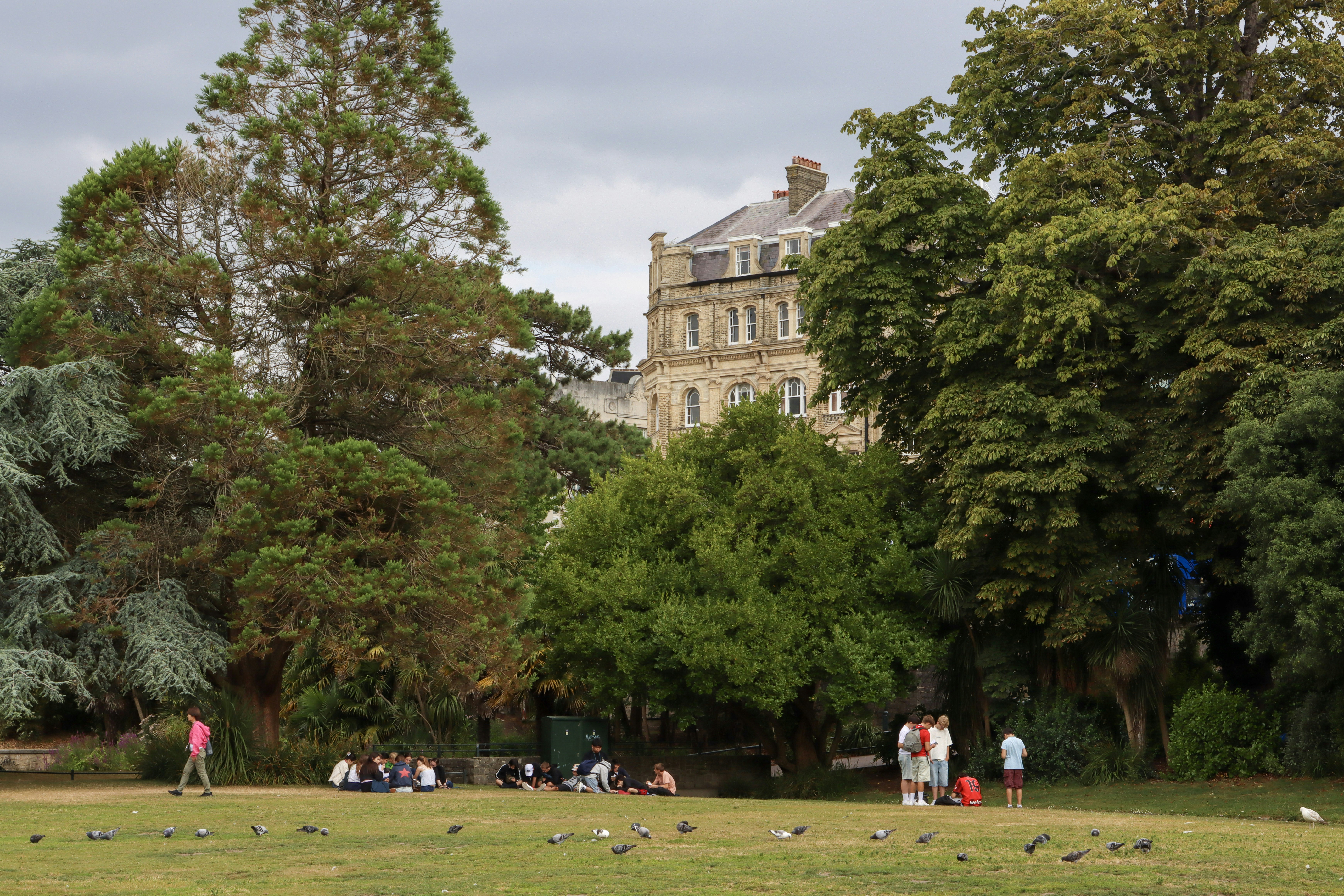 Photo by kamsinjkaneko