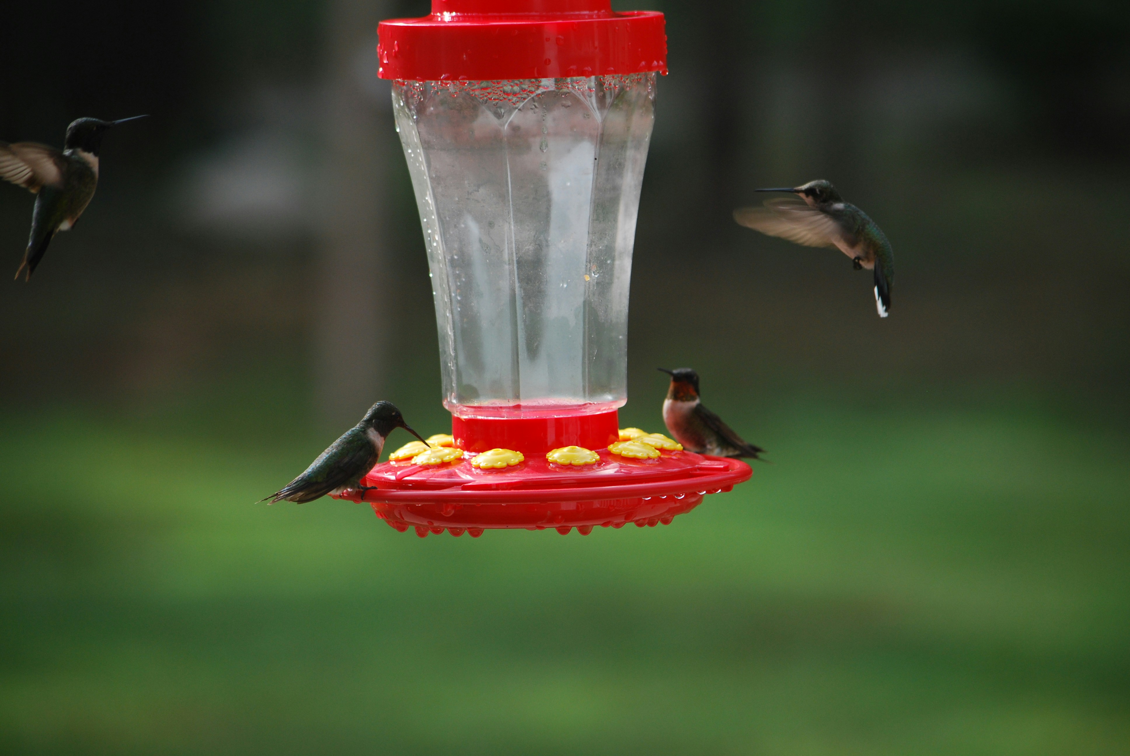 Photo by trailshutter