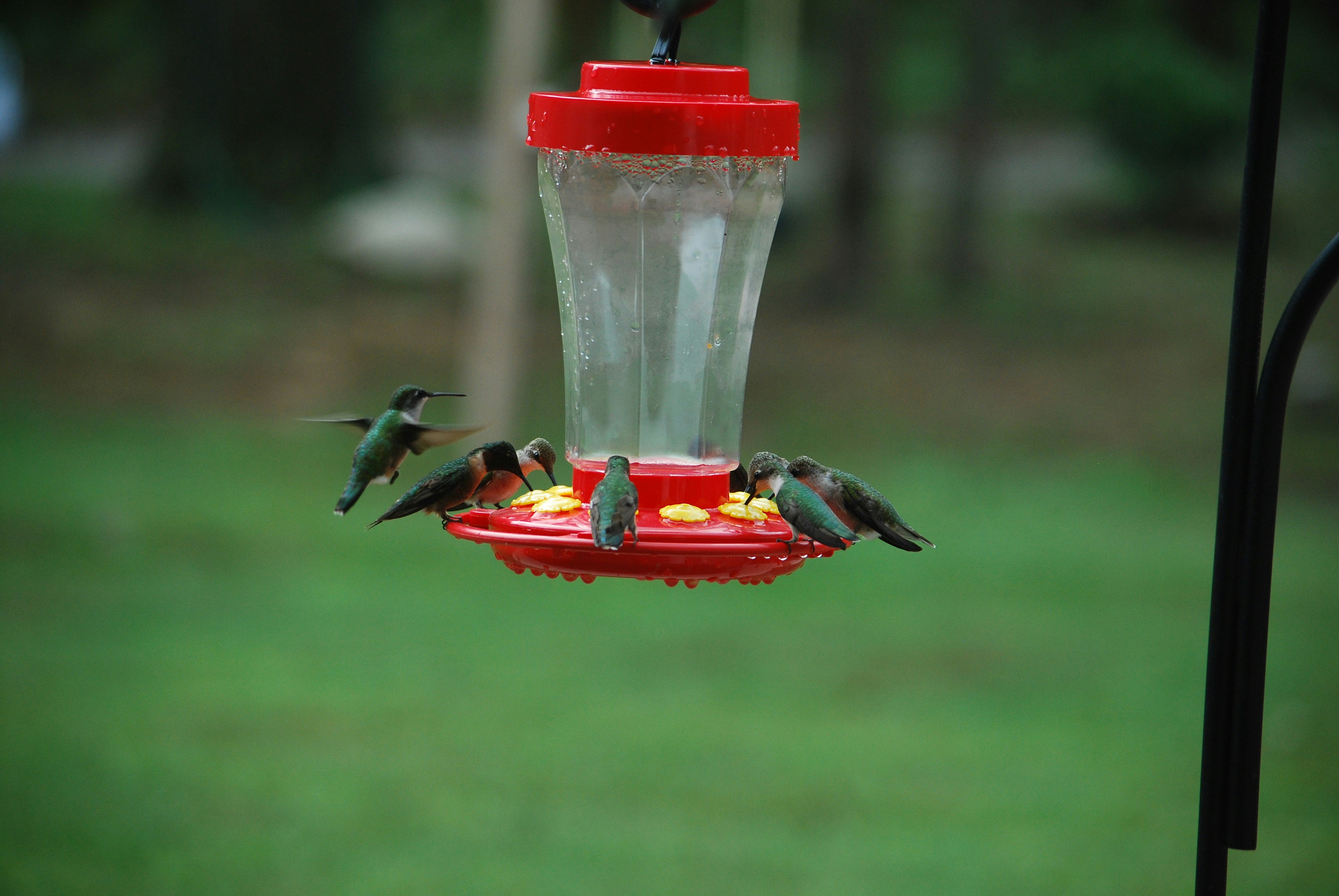 Photo by trailshutter