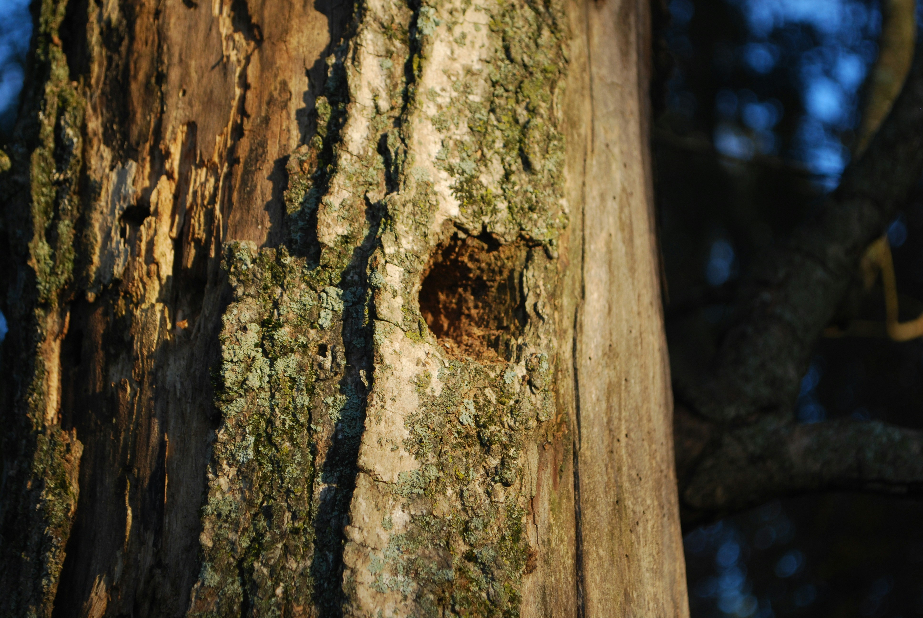 Photo by trailshutter