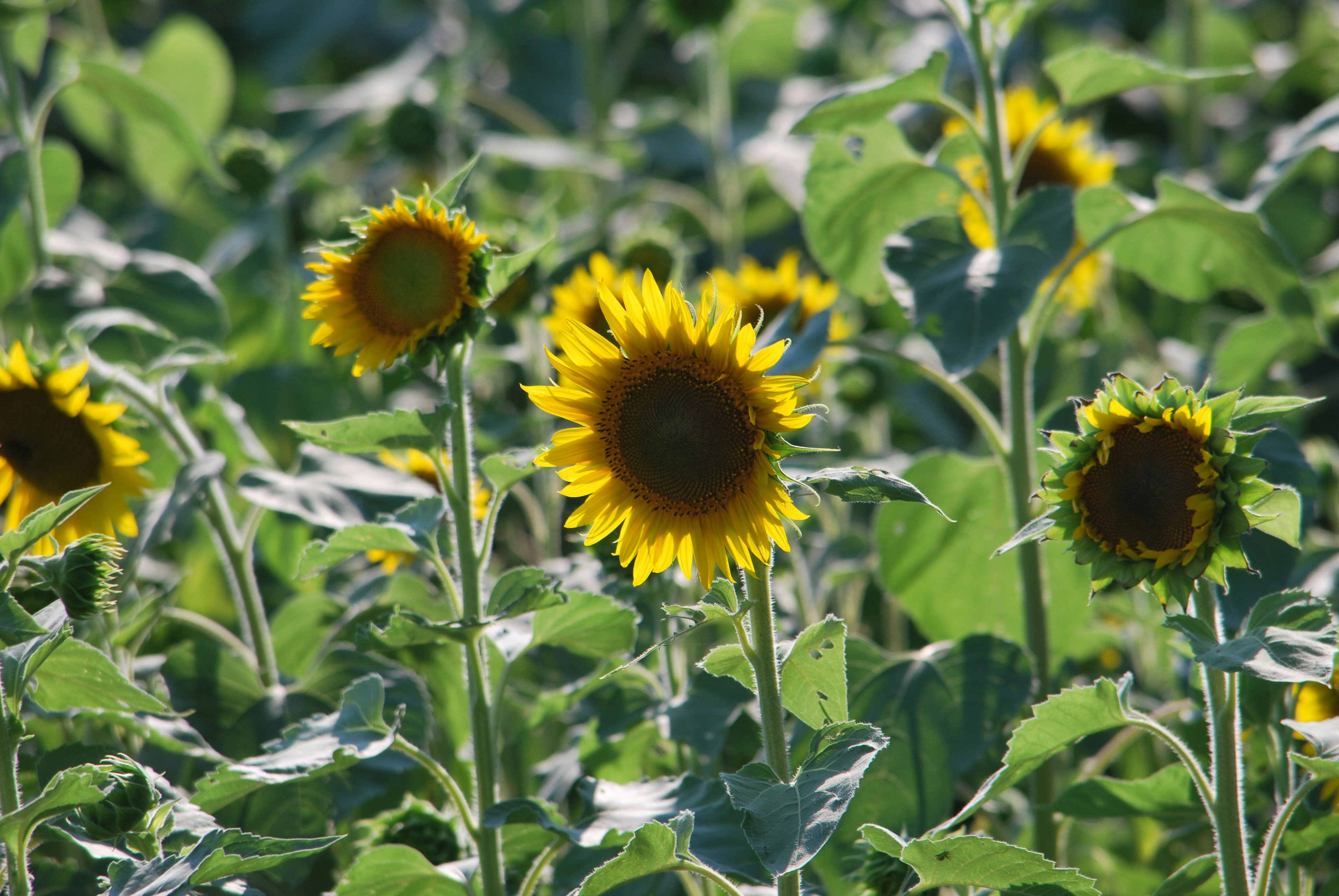 Photo by trailshutter