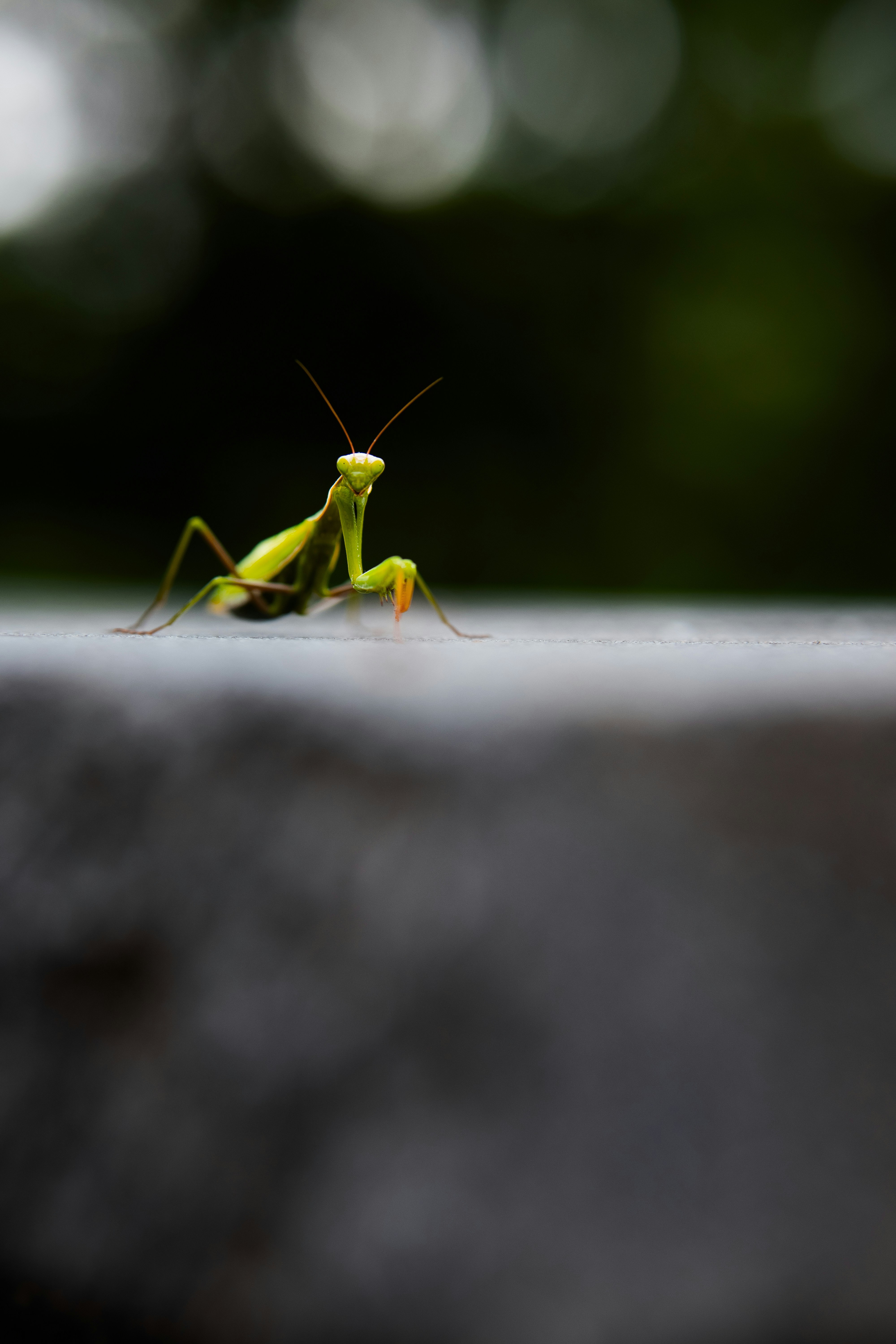 Photo by jacekjaniczak