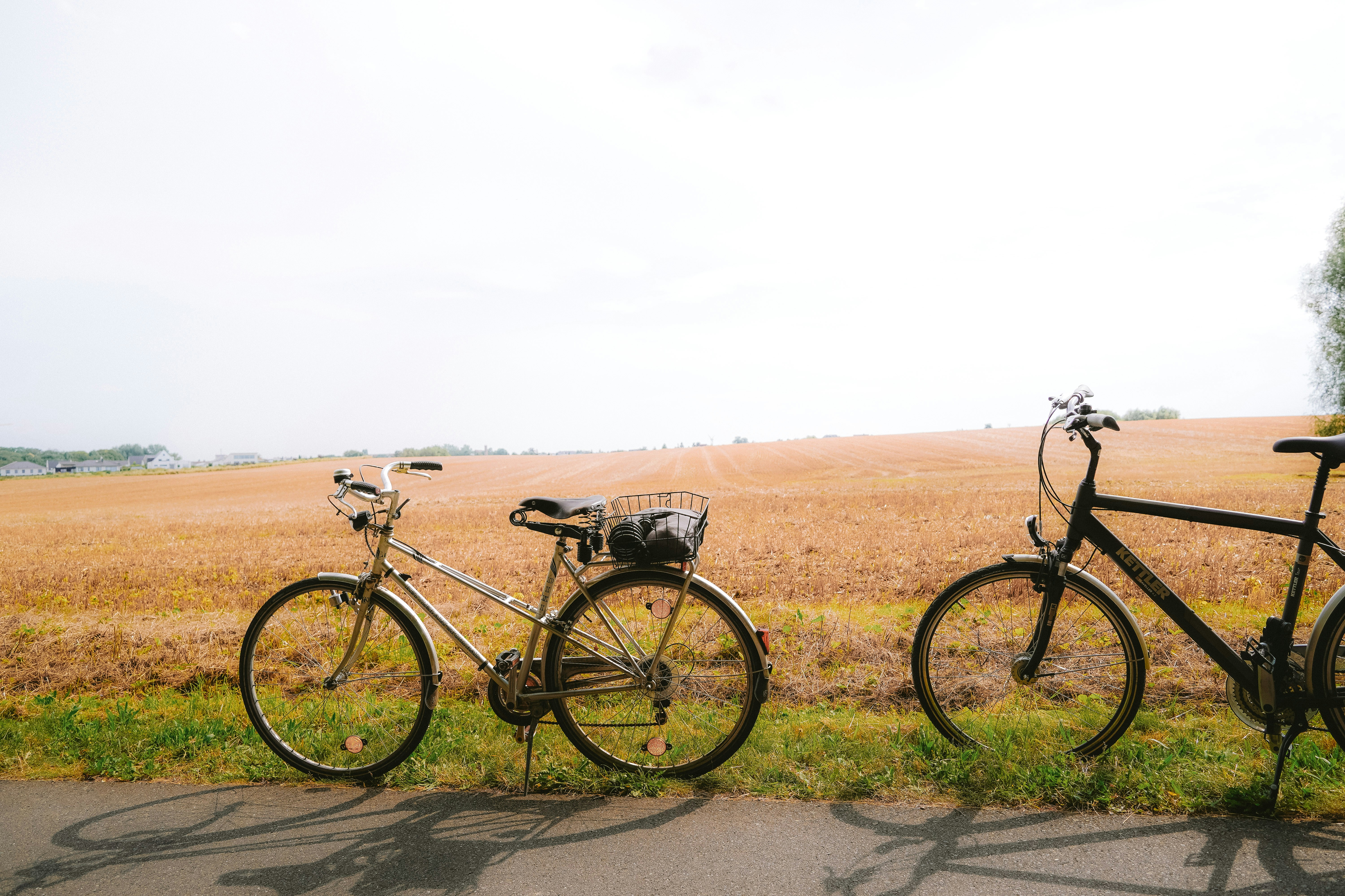 Two bicycles parked beside a golden field