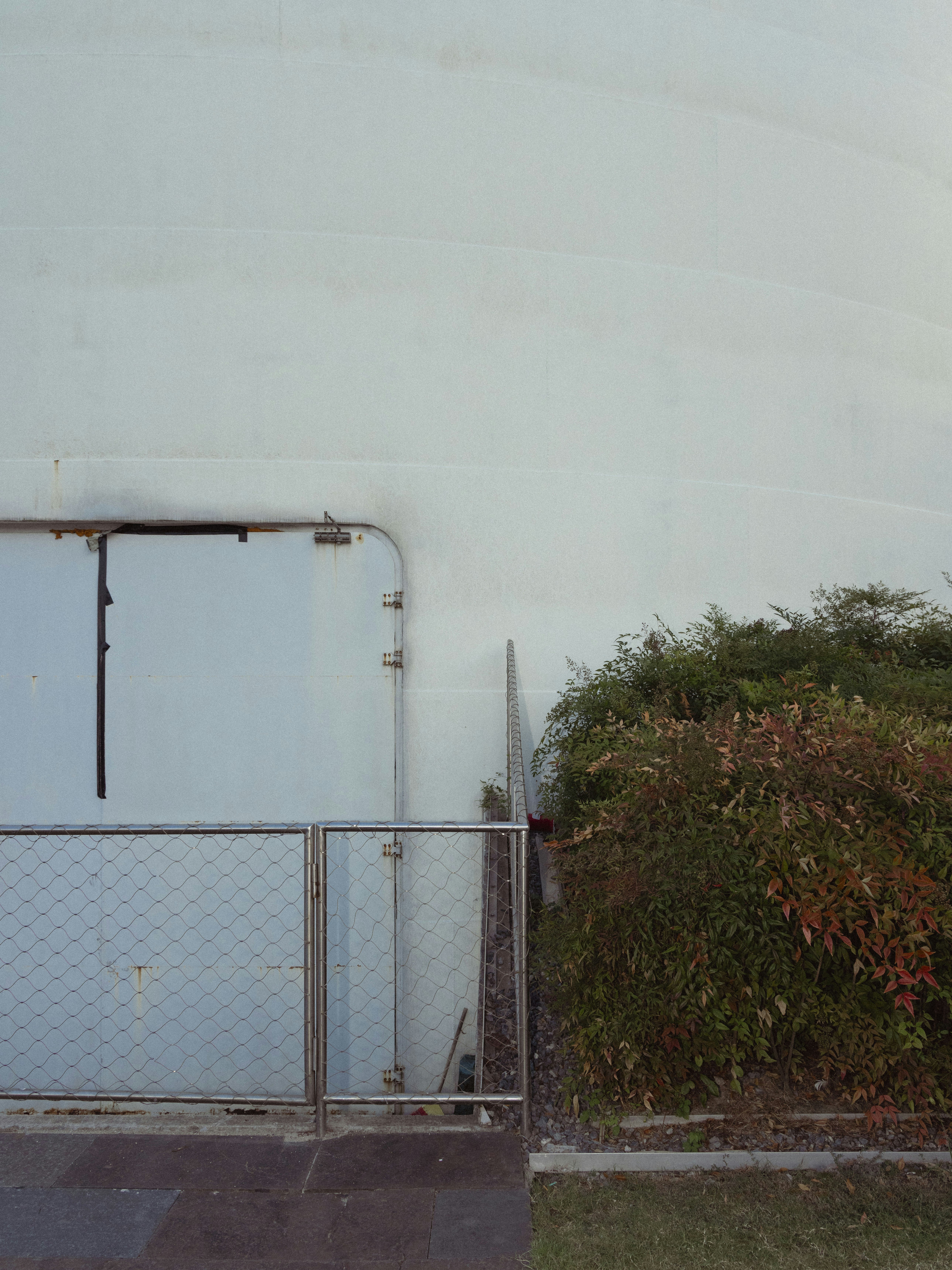 Light blue door next to overgrown bushes