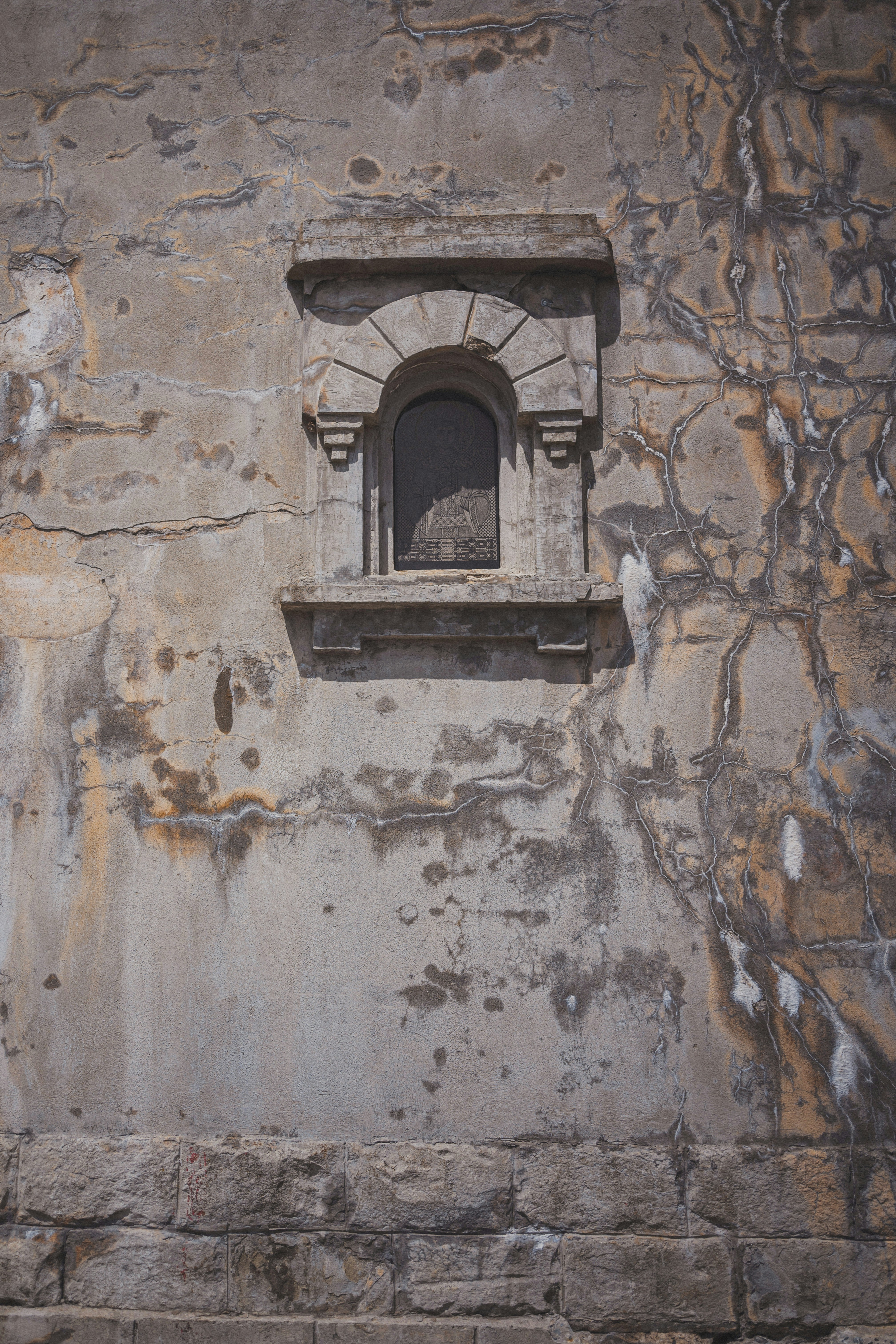 Photo by vonshnauzer