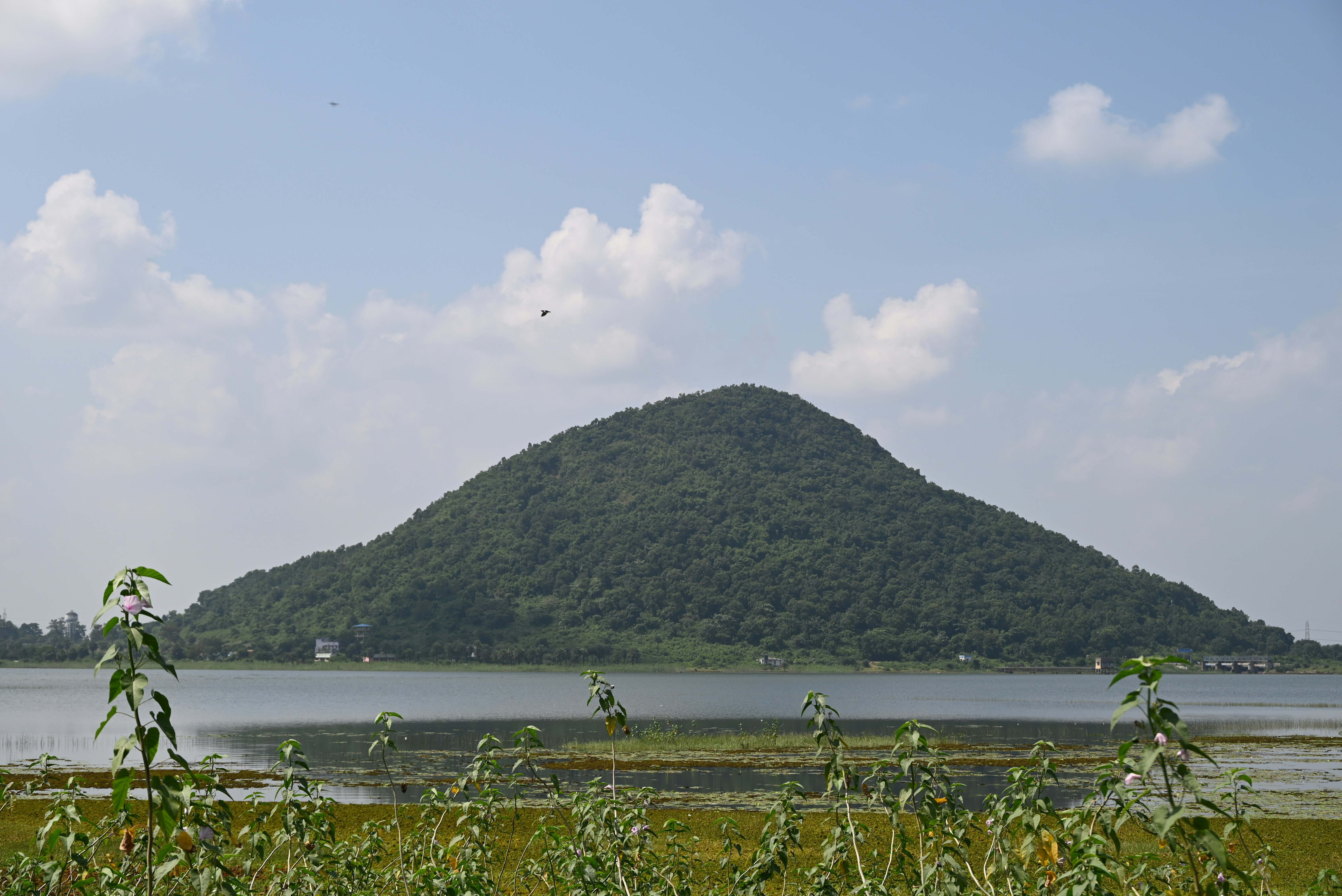 A lush green hill rises beside a calm lake.