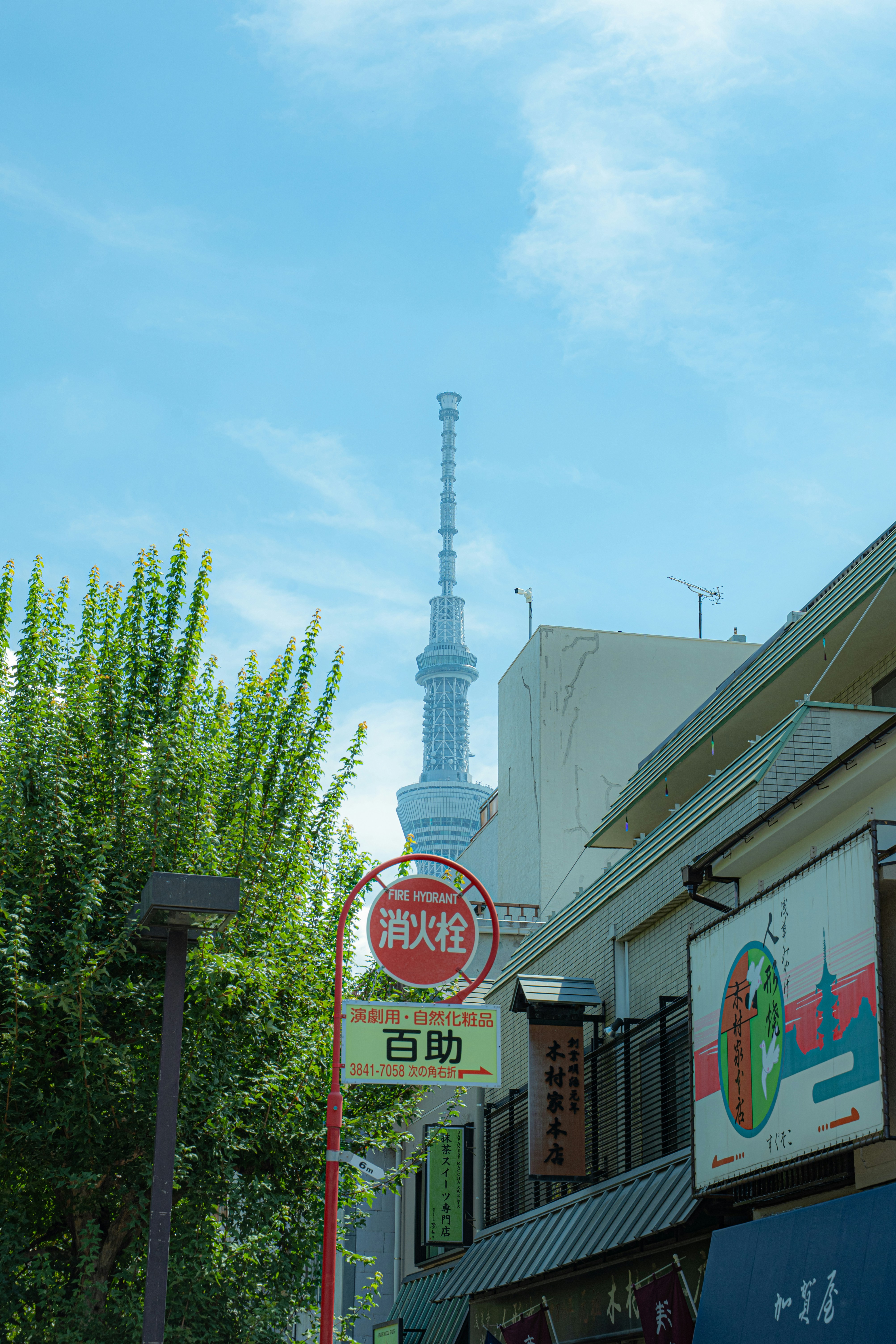 Tokyo skytree tower seen from a street