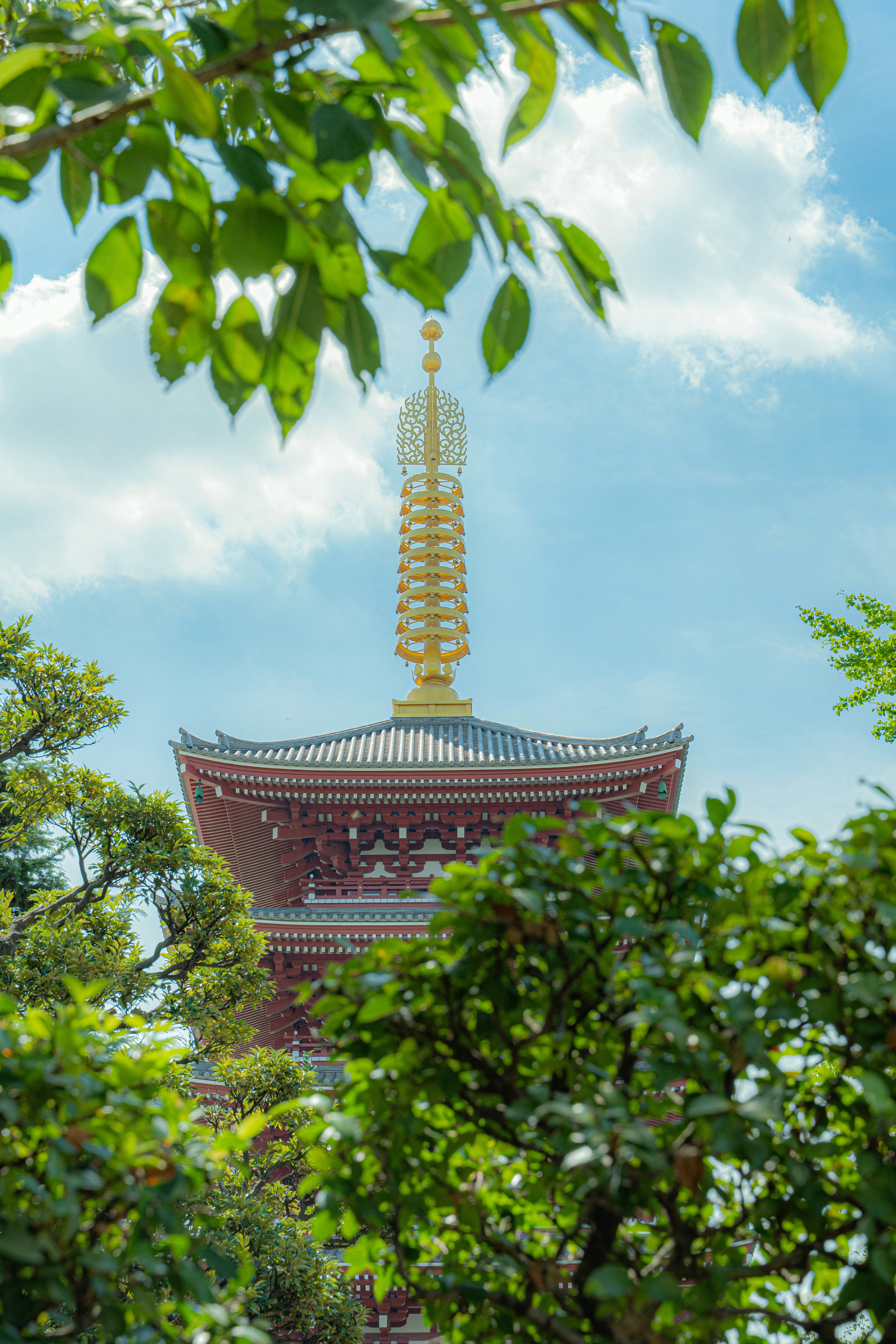 Traditional japanese pagoda framed by green foliage