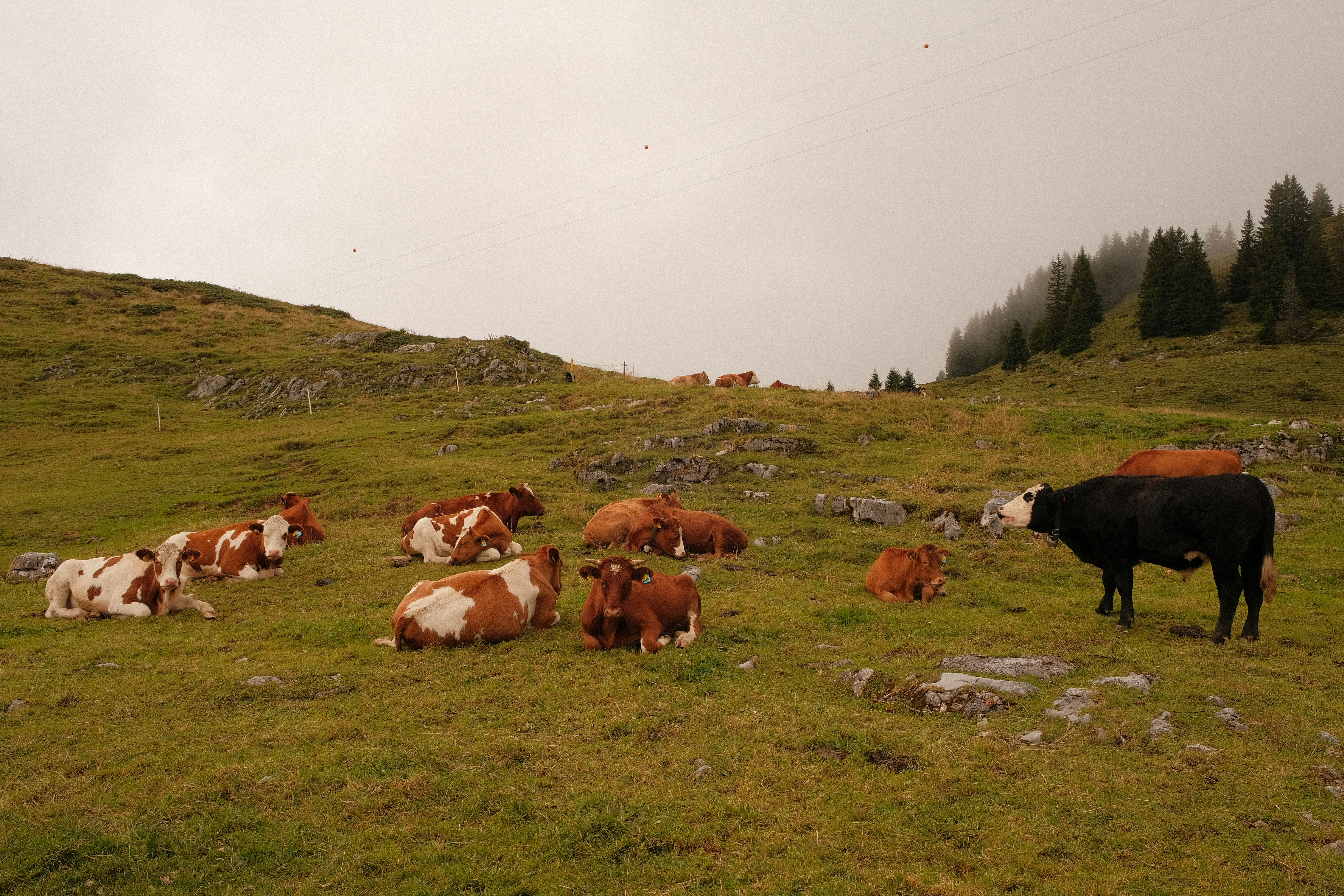 Photo by madelinelee