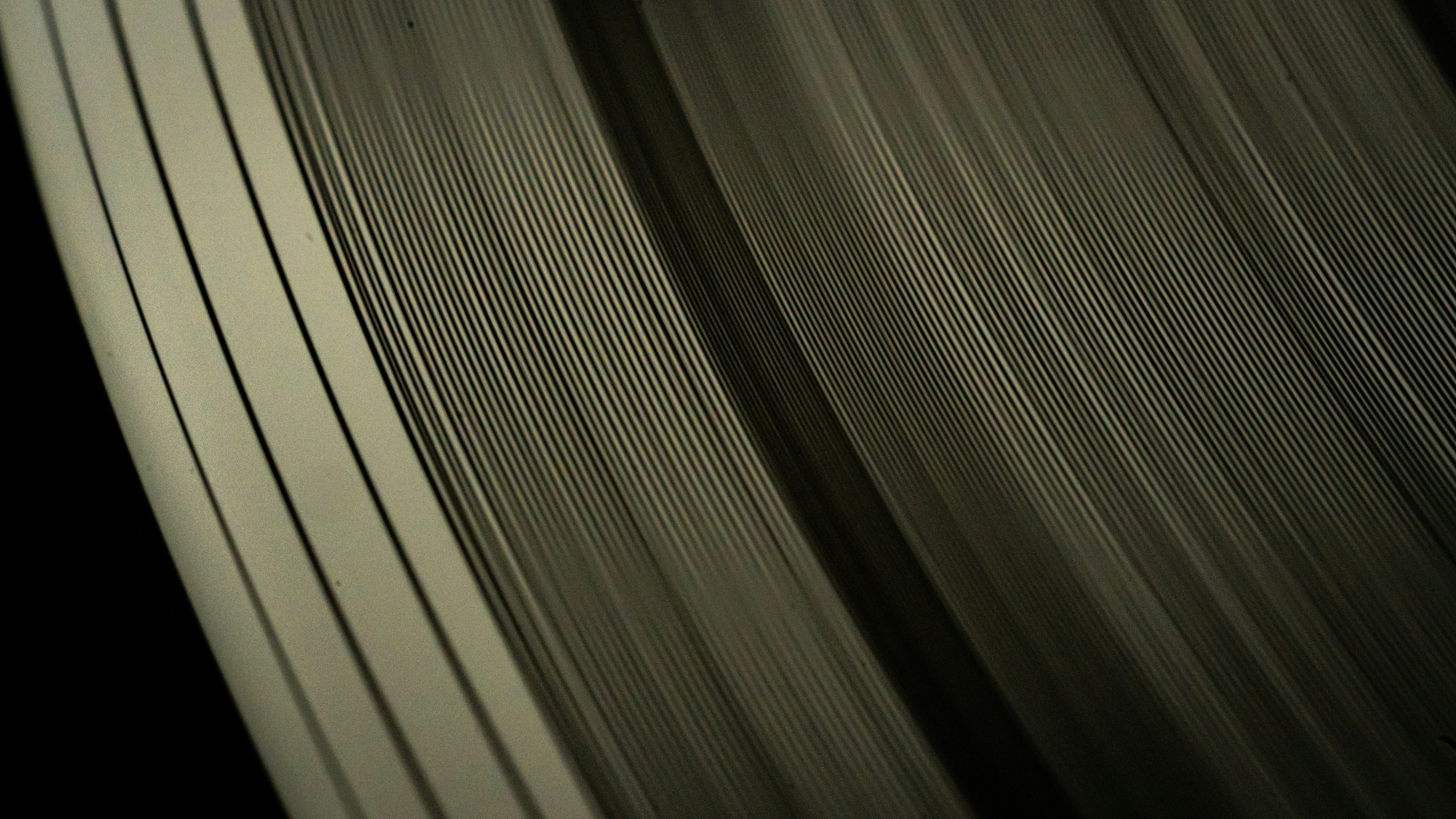 Photo by dfeofilaktov