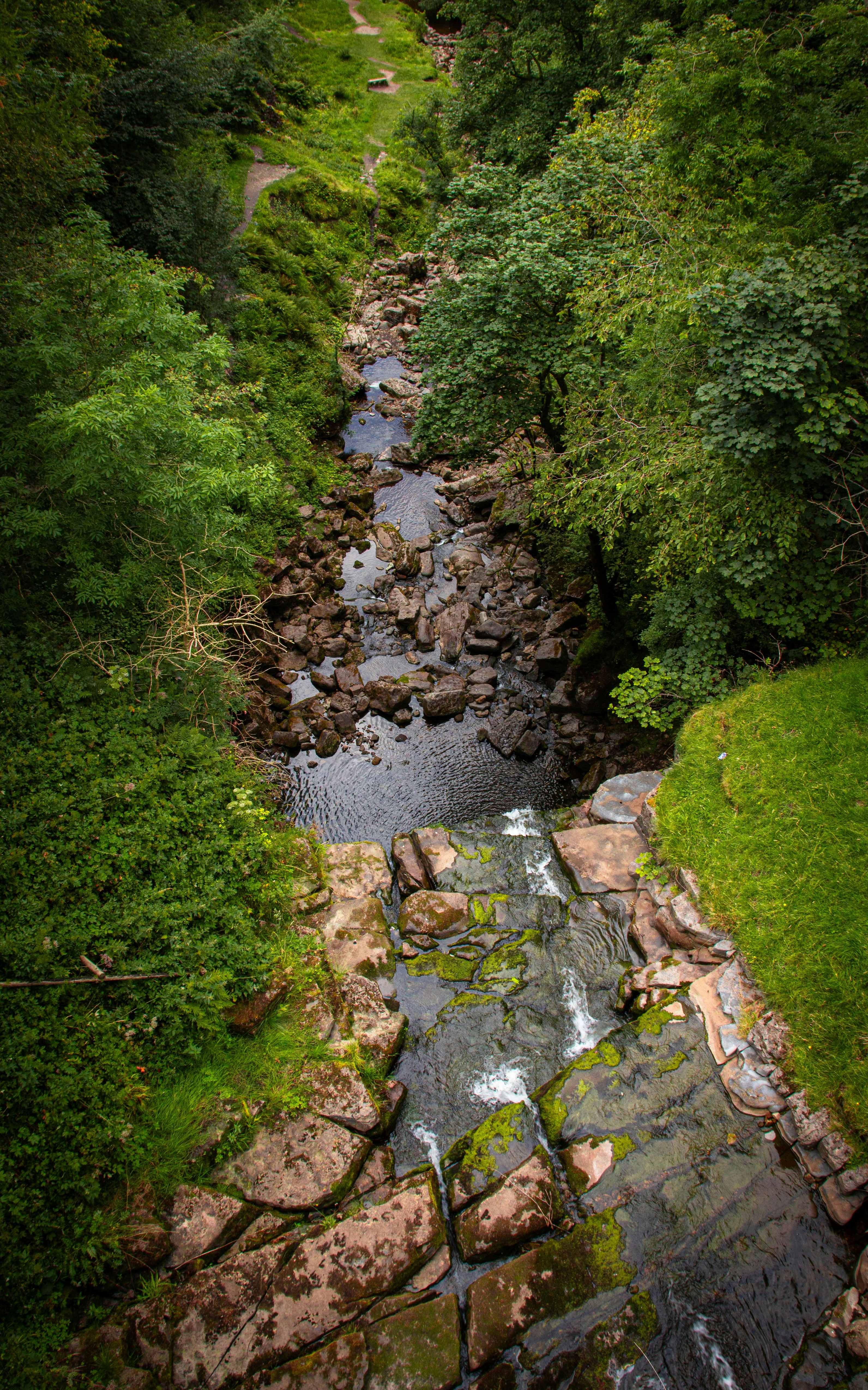 Photo by mlcphotography88