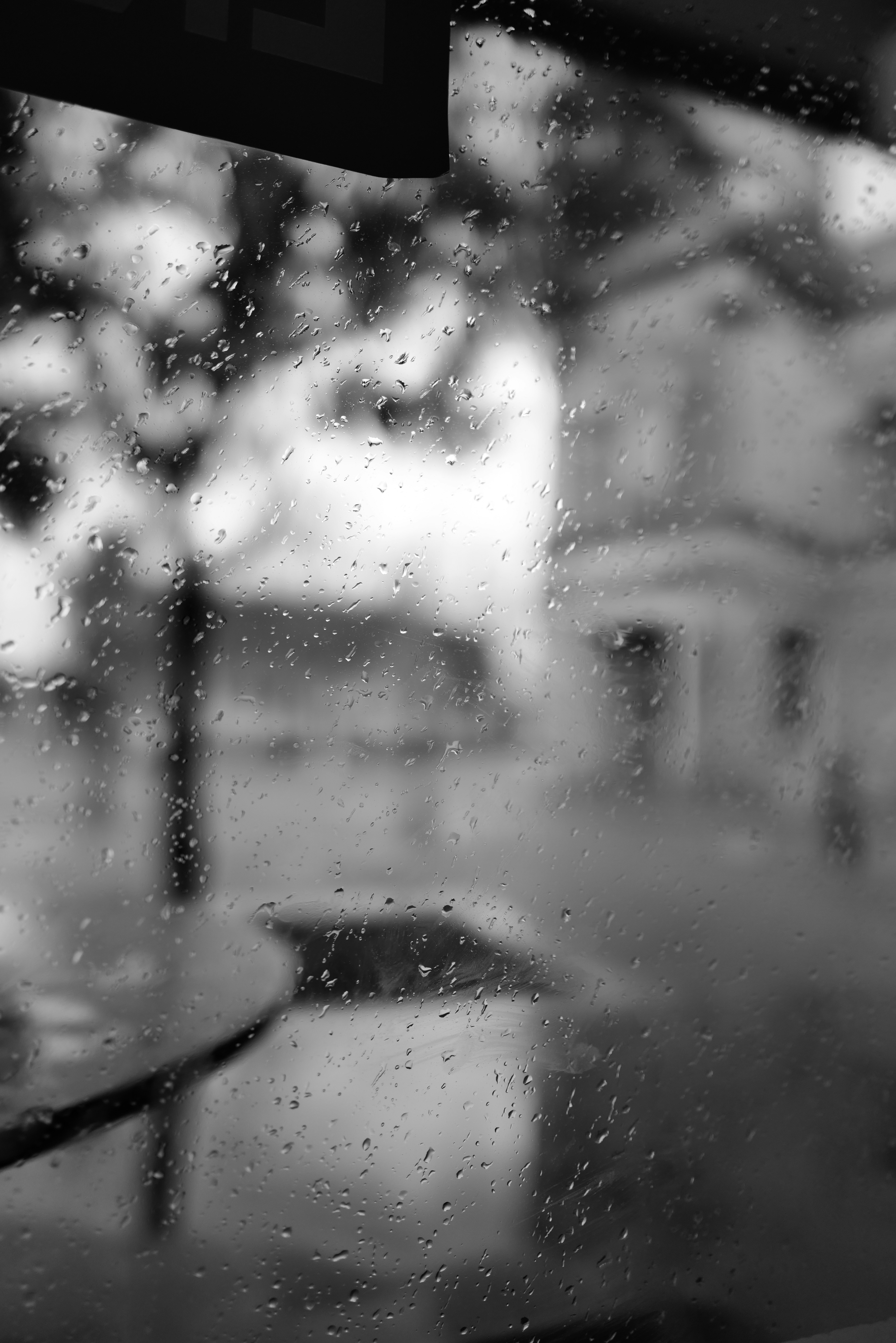 Photo by adammeredith