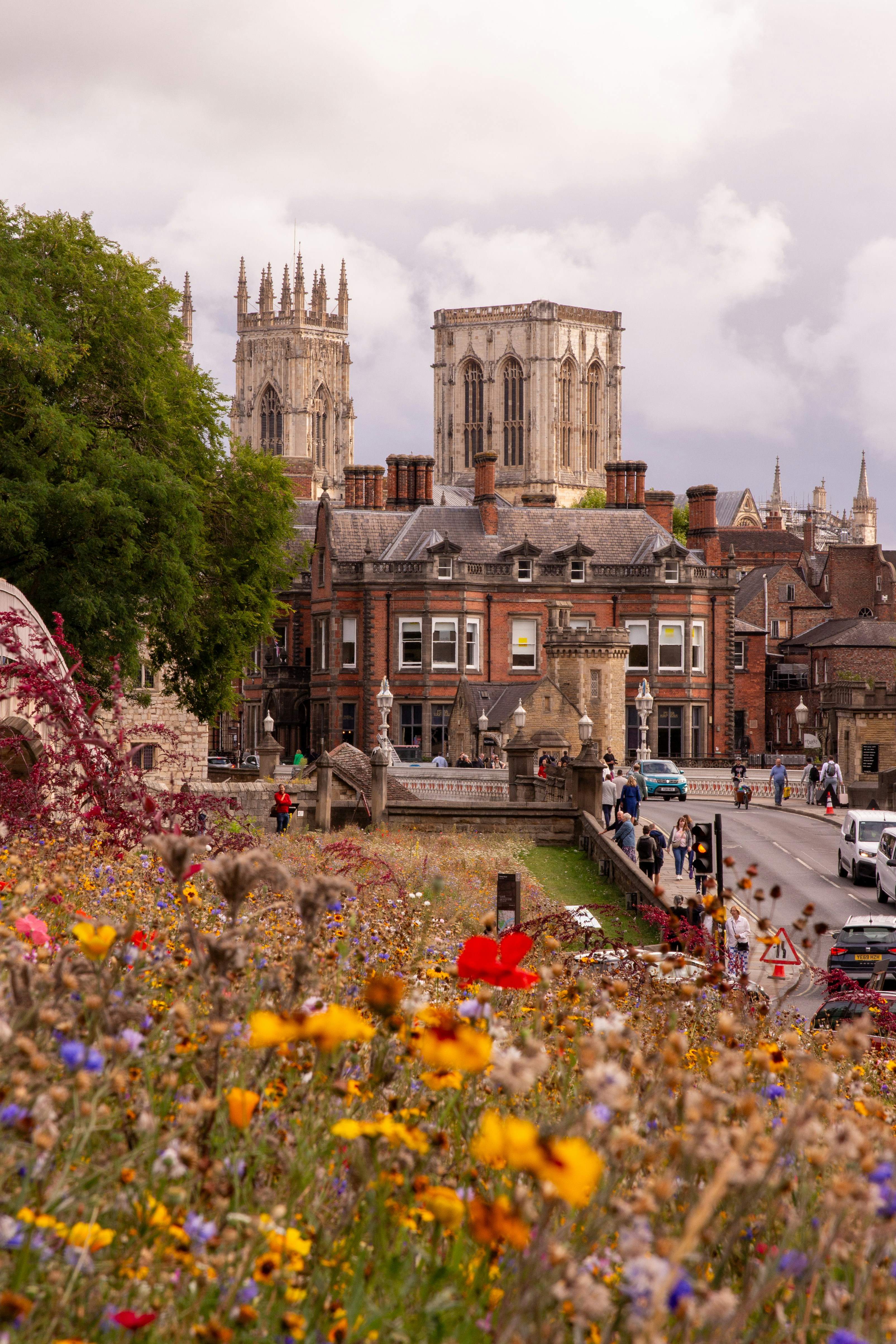 Photo by mlcphotography88