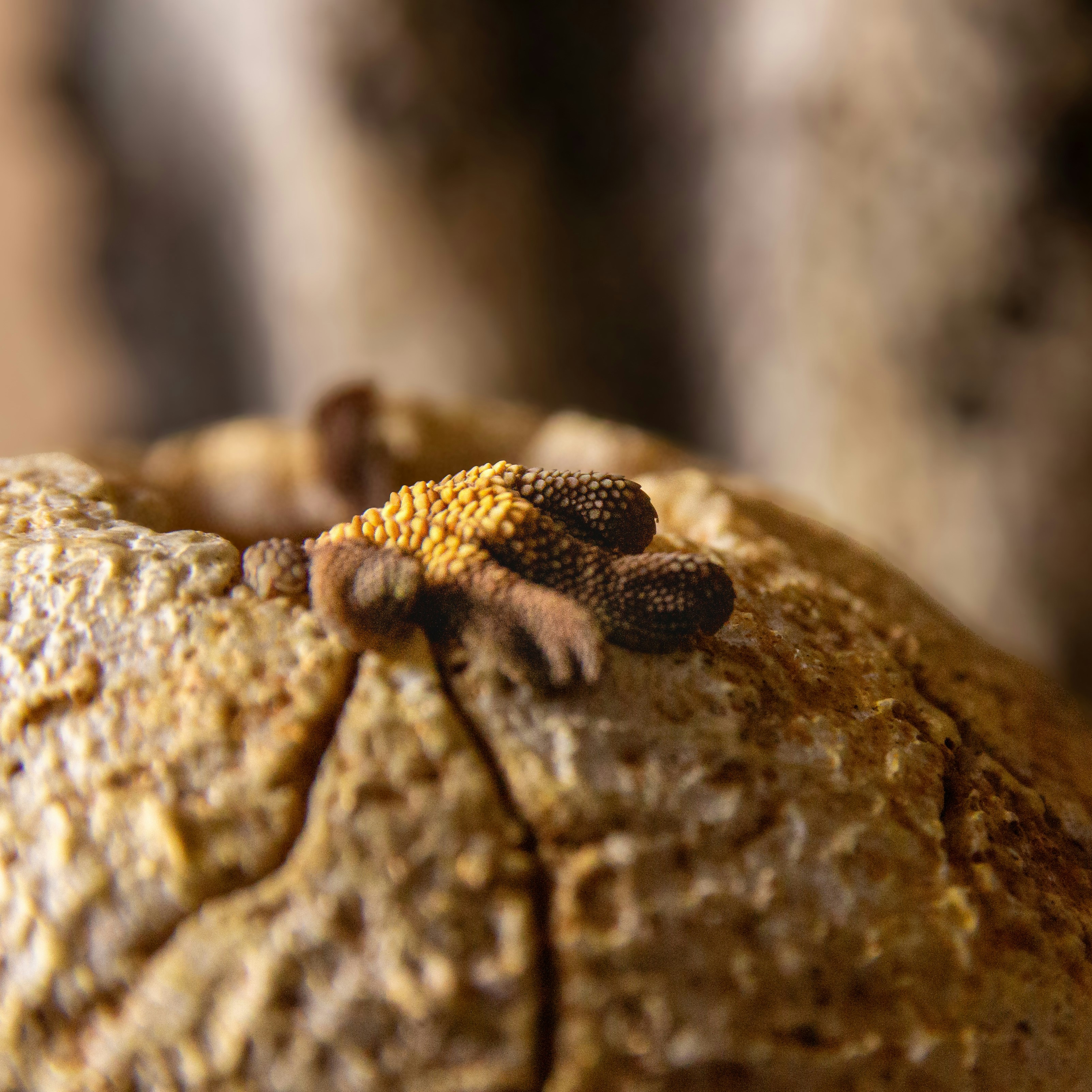 Photo by mlcphotography88