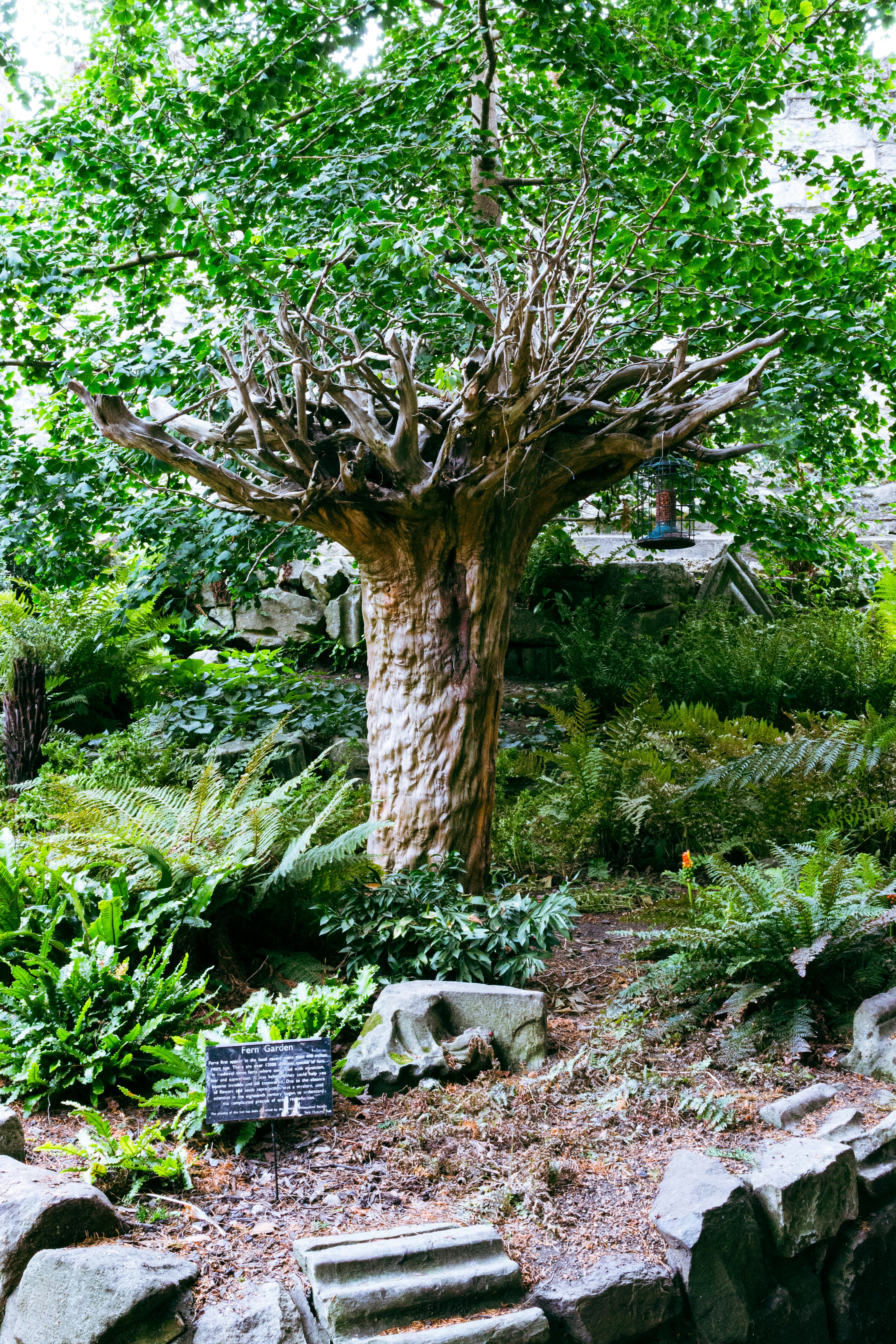 Photo by mlcphotography88