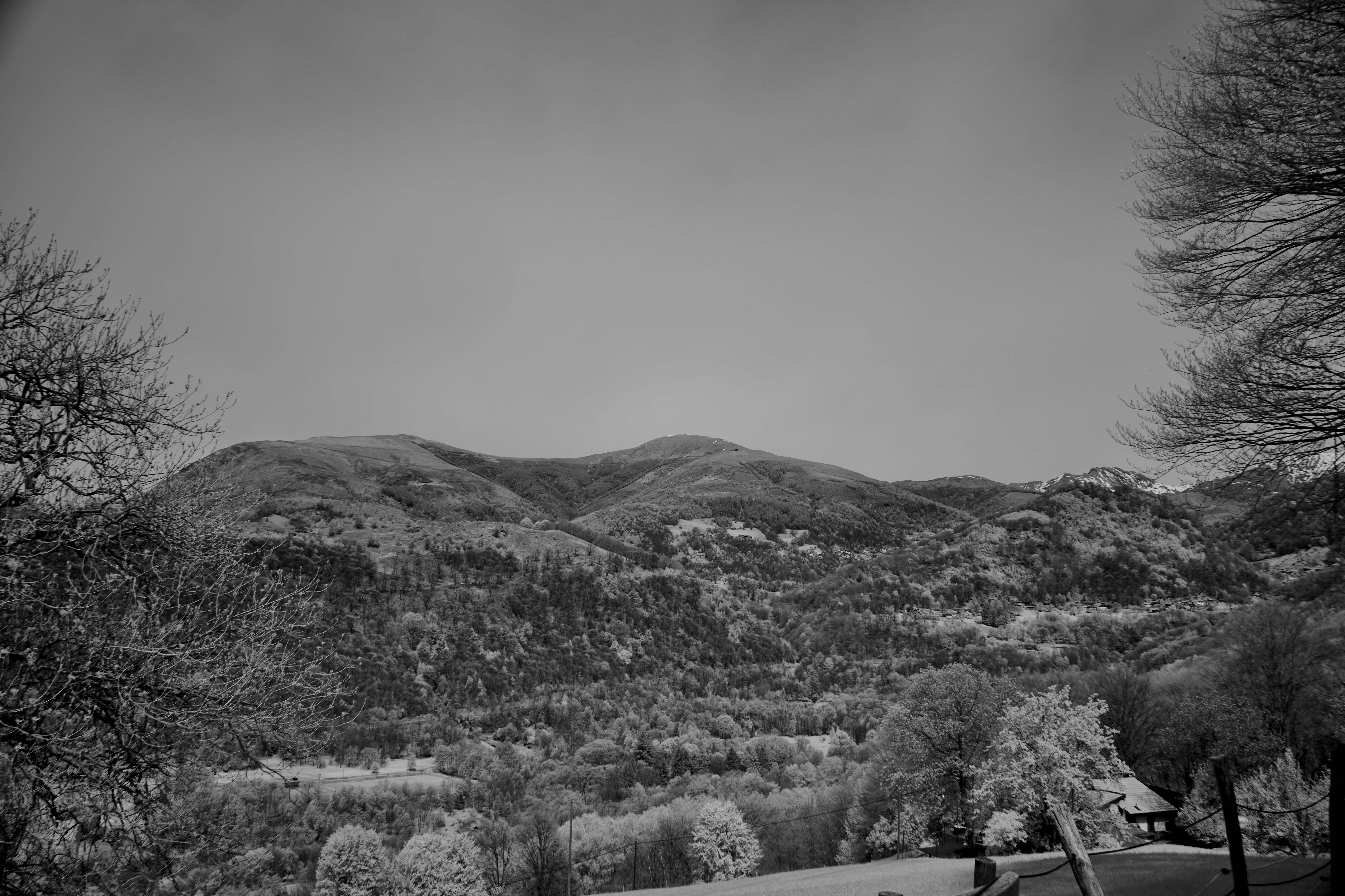 Photo by wolfgang_hasselmann