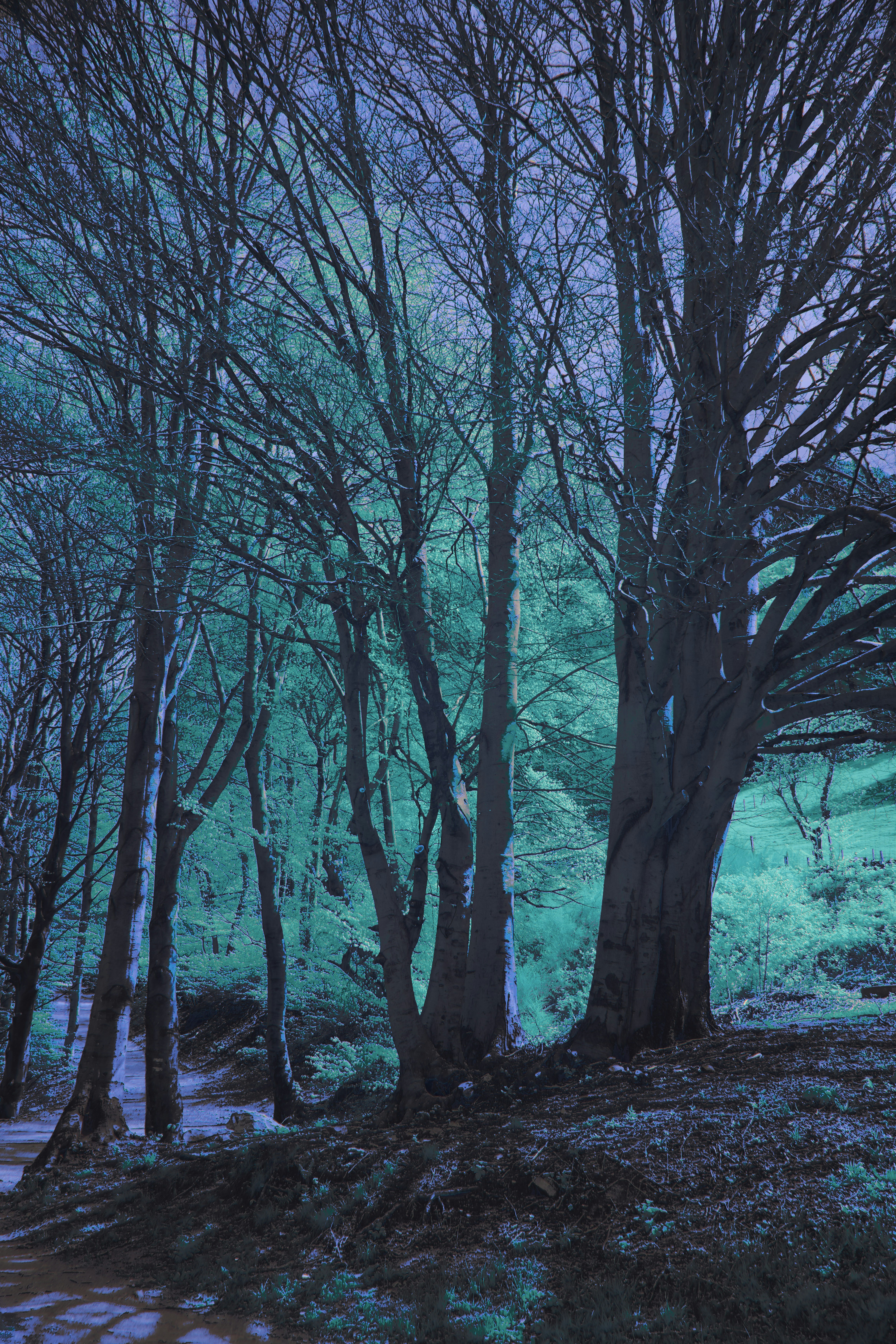 Photo by wolfgang_hasselmann