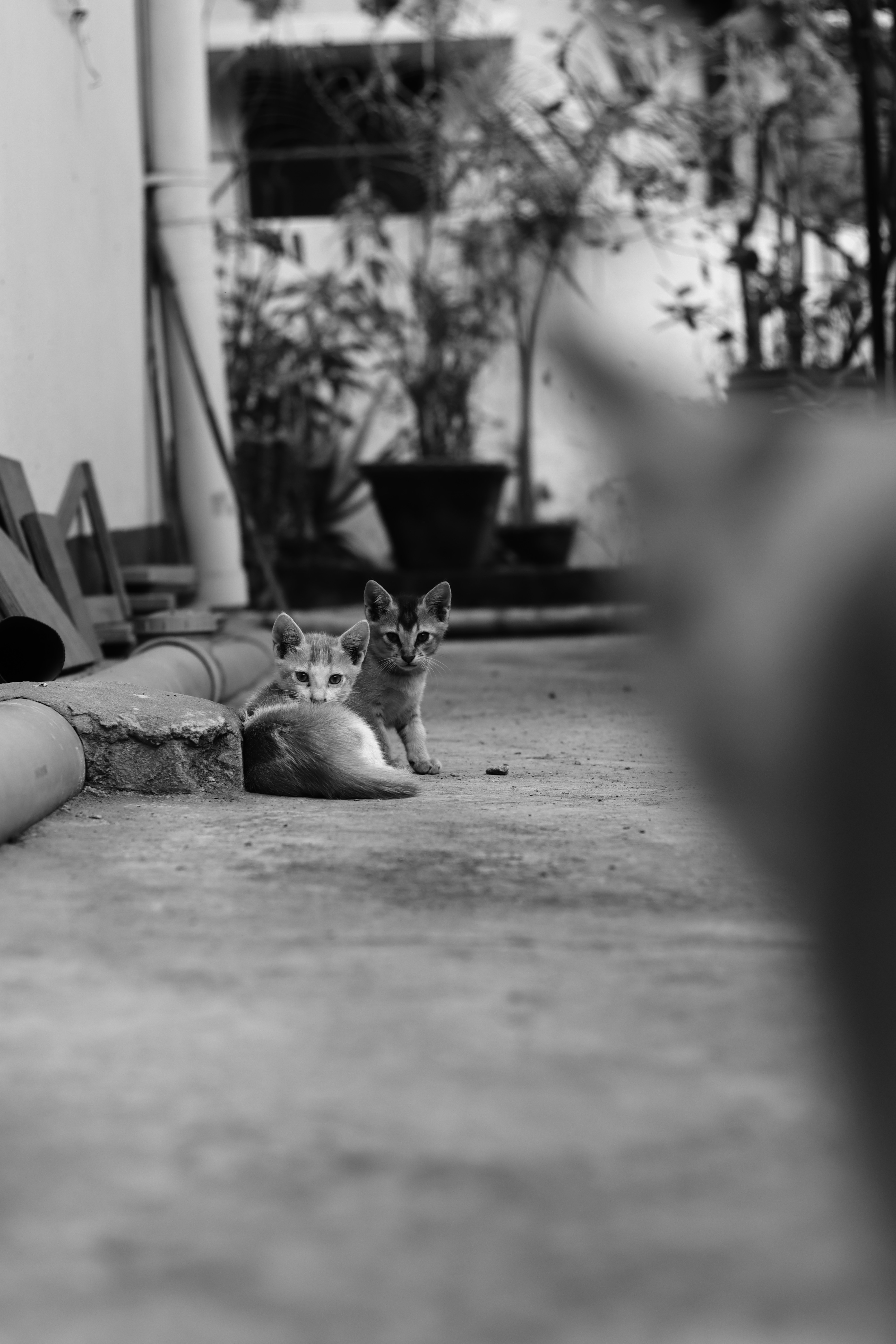 Photo by abhigyan_bruahah