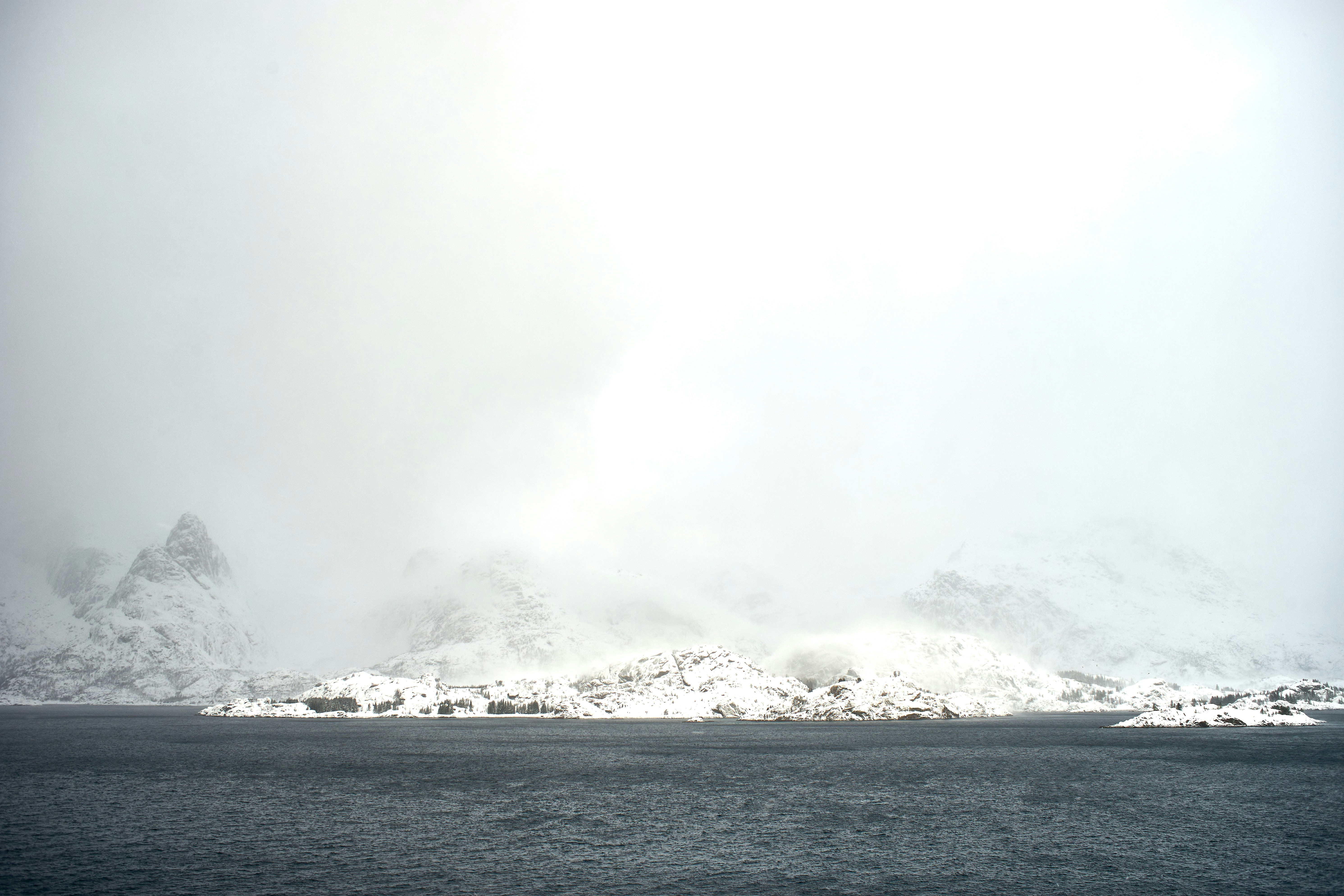 Photo by wolfgang_hasselmann