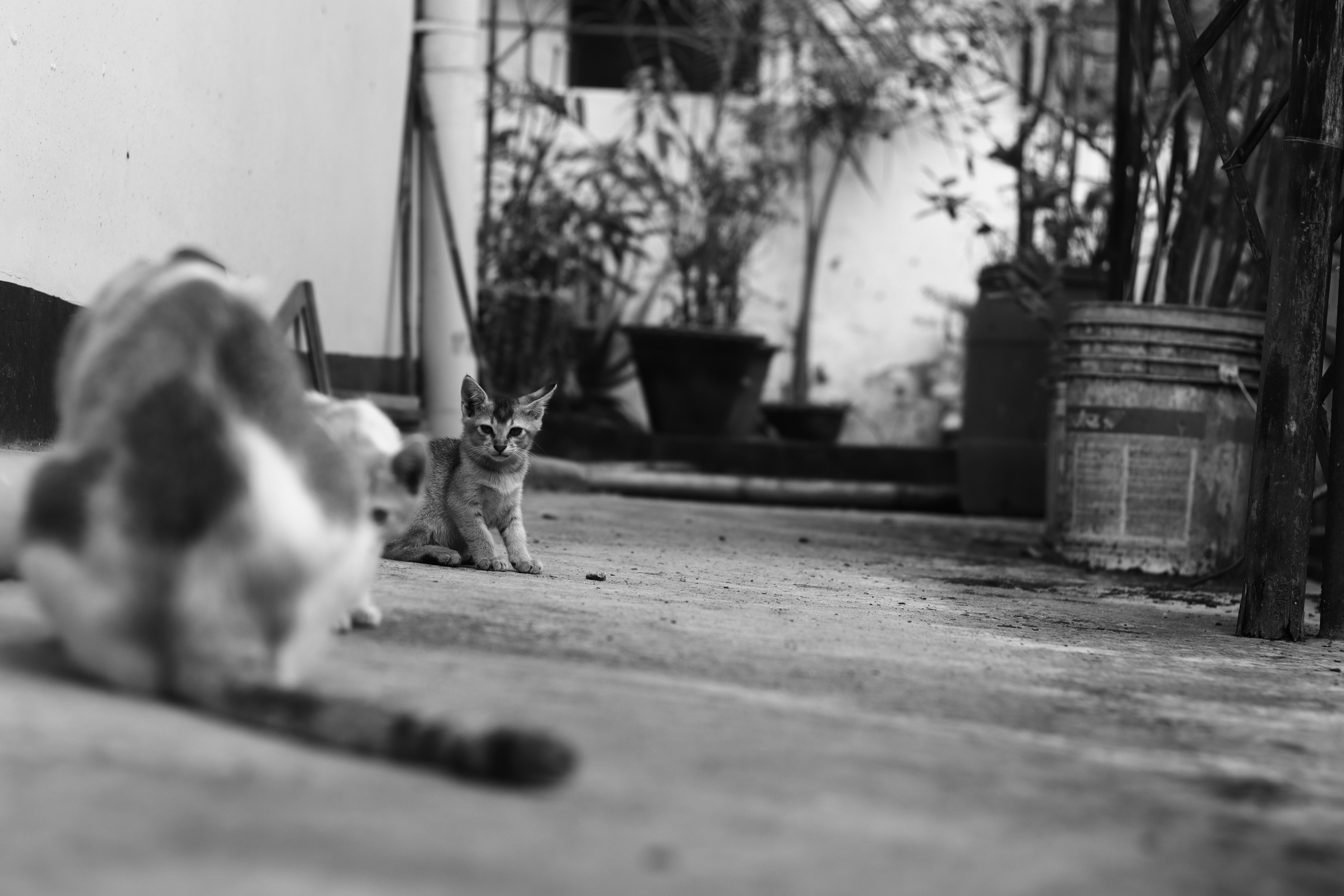 Photo by abhigyan_bruahah