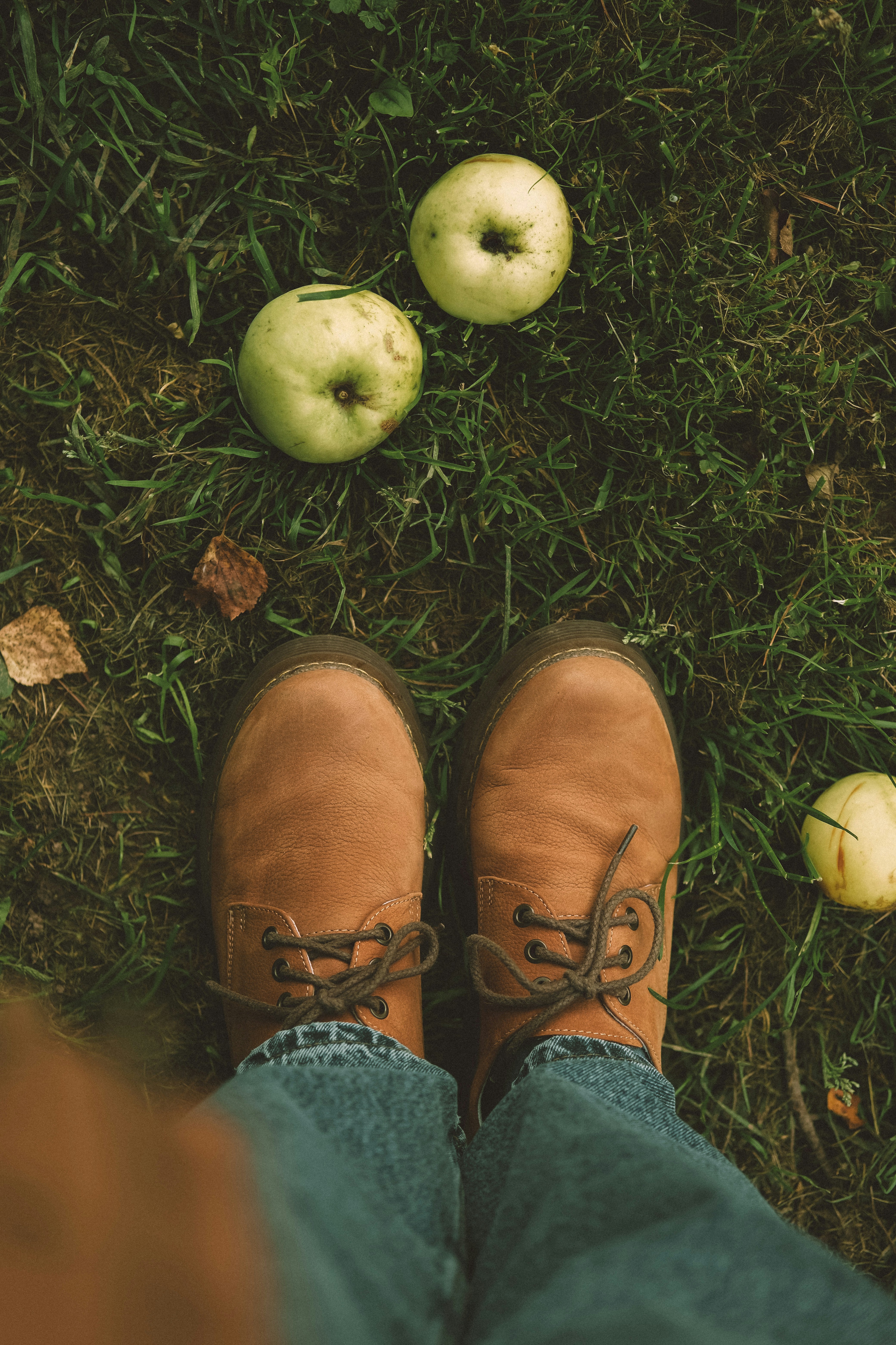 Brown shoes and apples on green grass