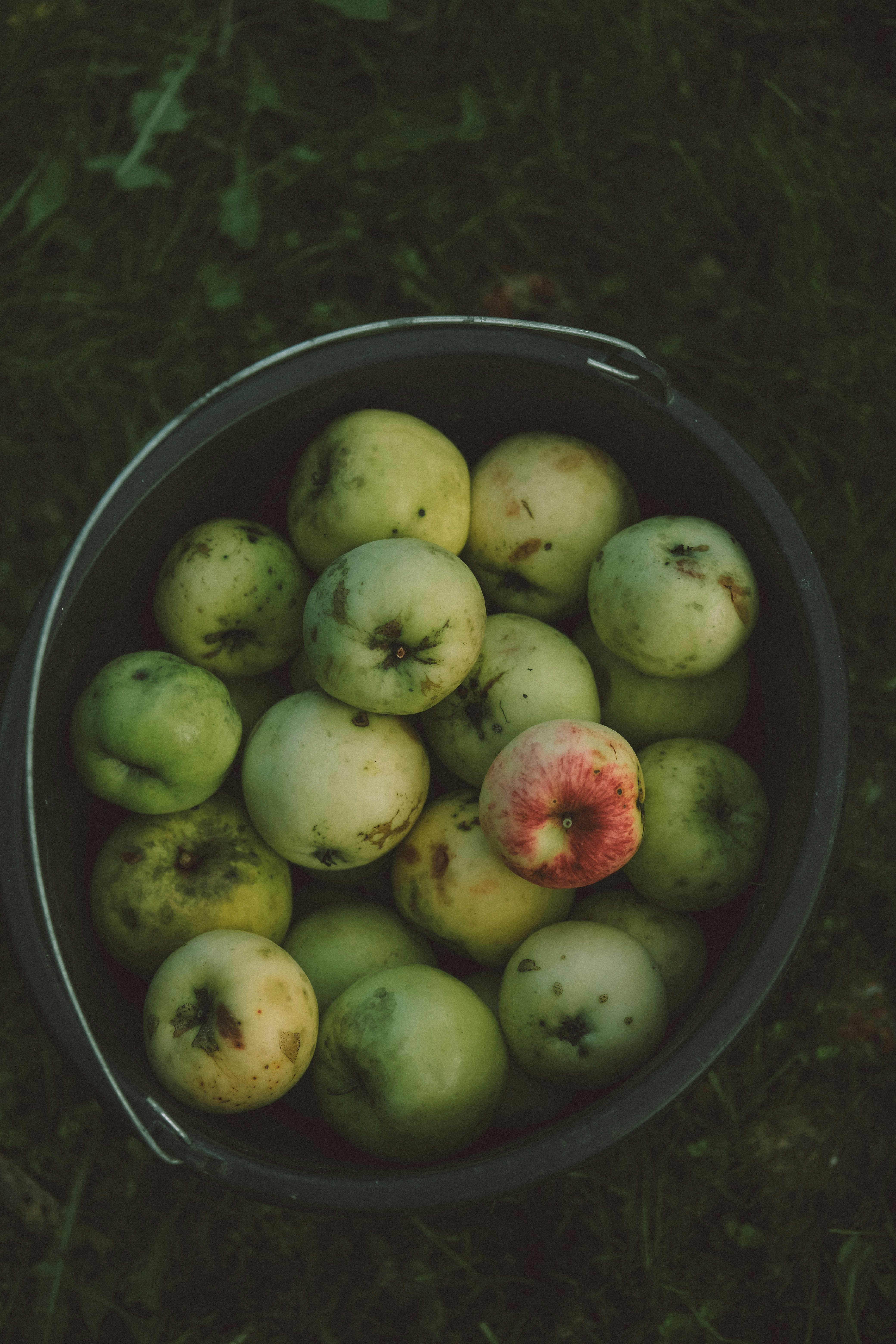 Photo by rolig_basseng