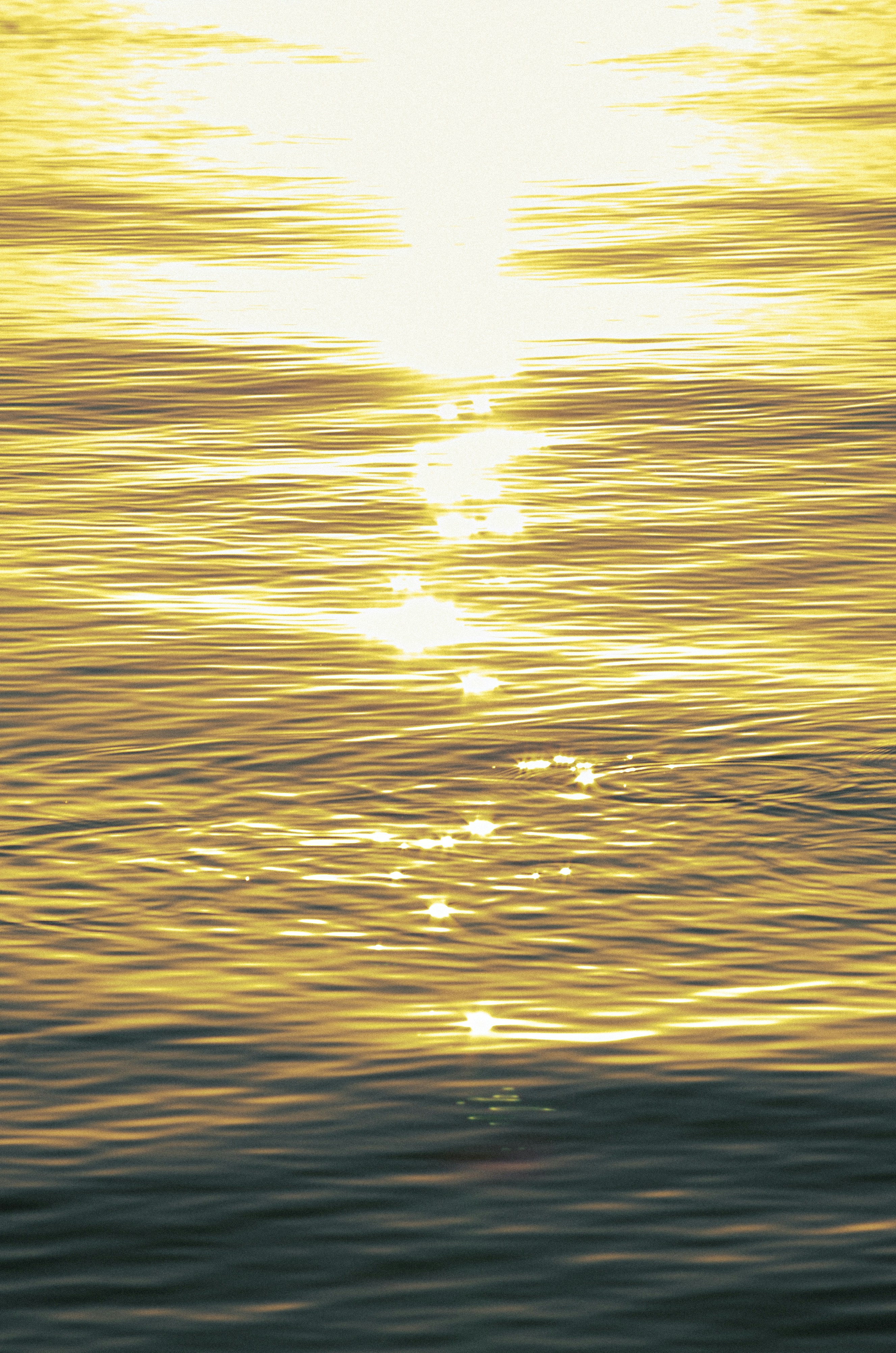 Photo by inga_images