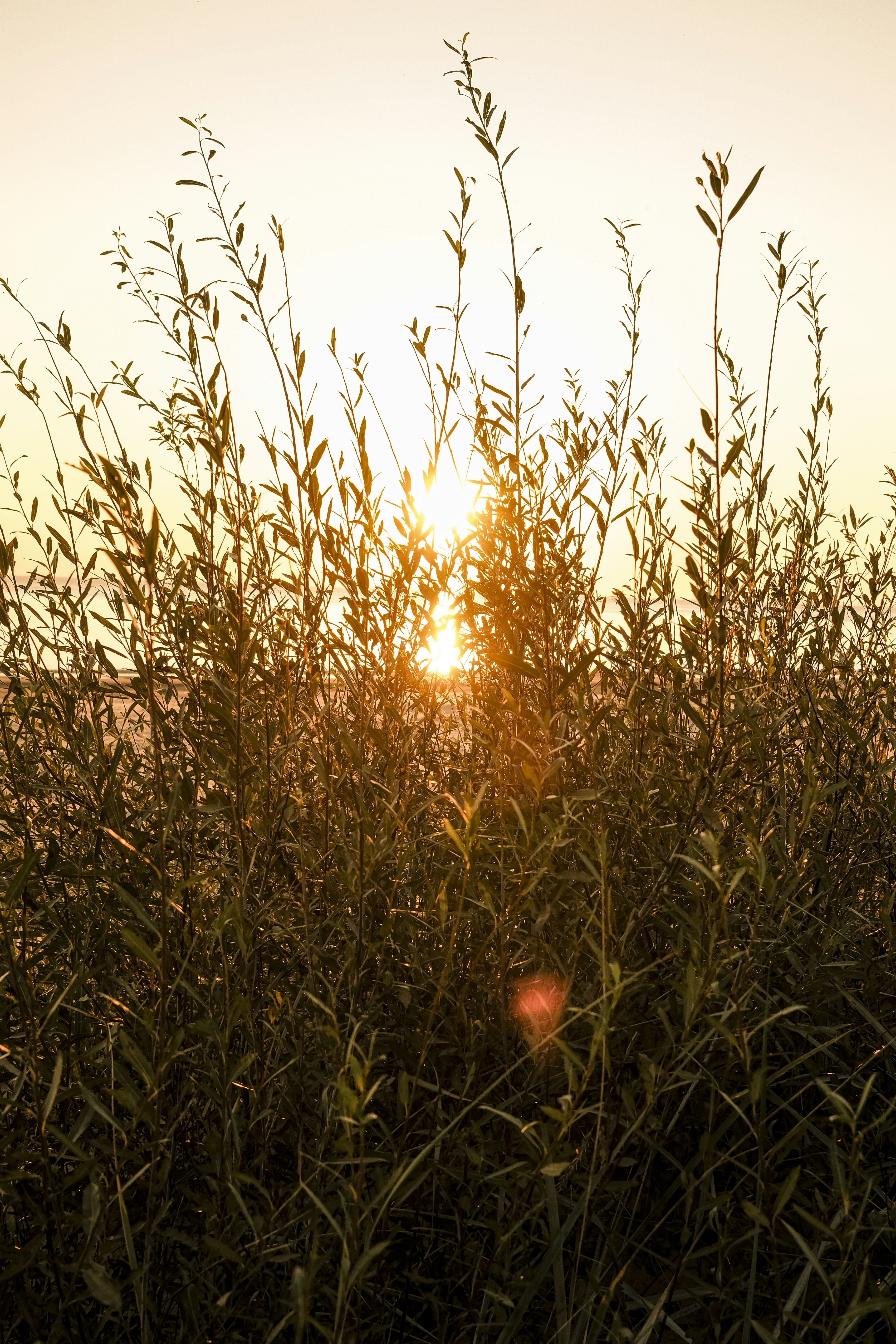 Photo by inga_images