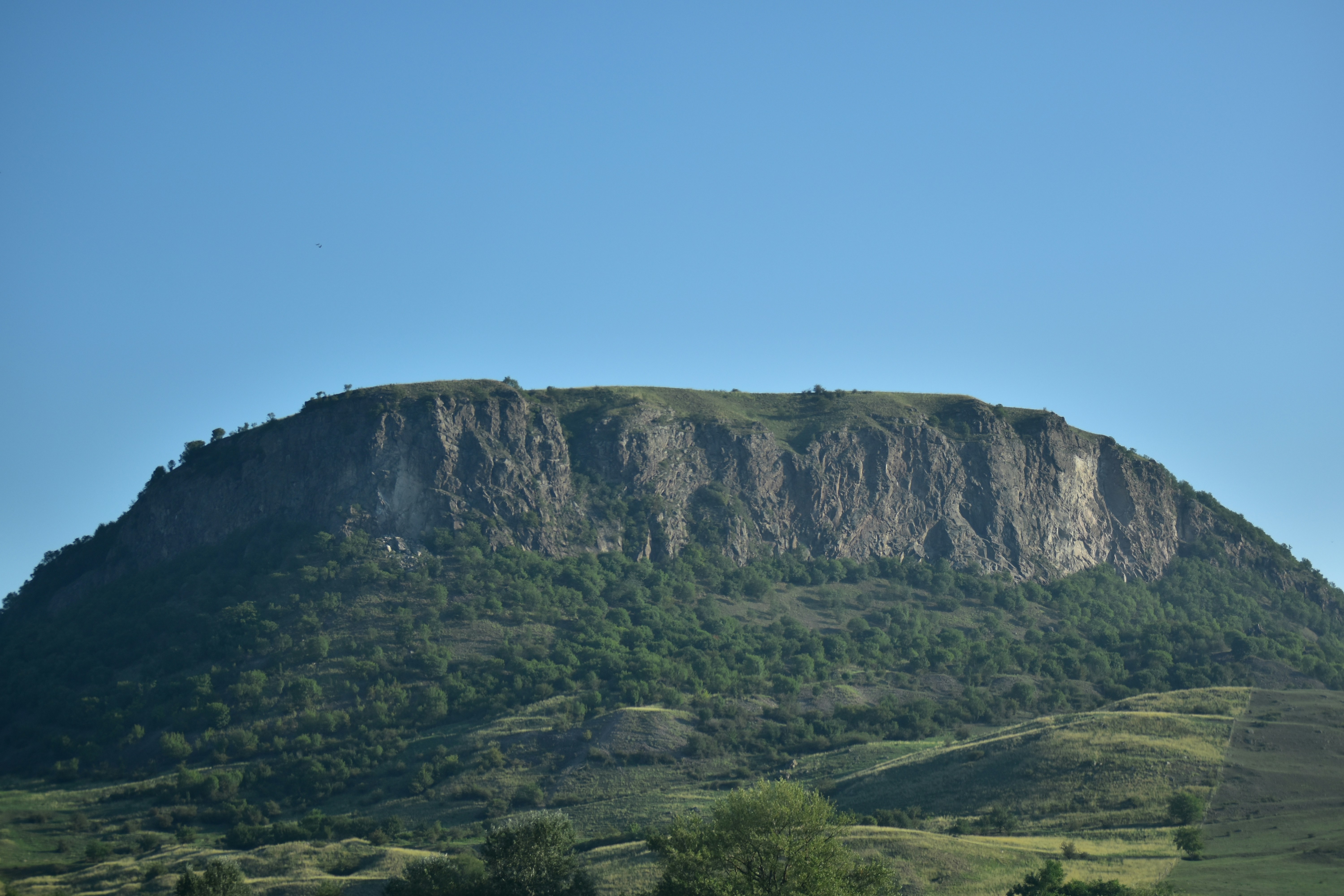 Photo by carboneternity