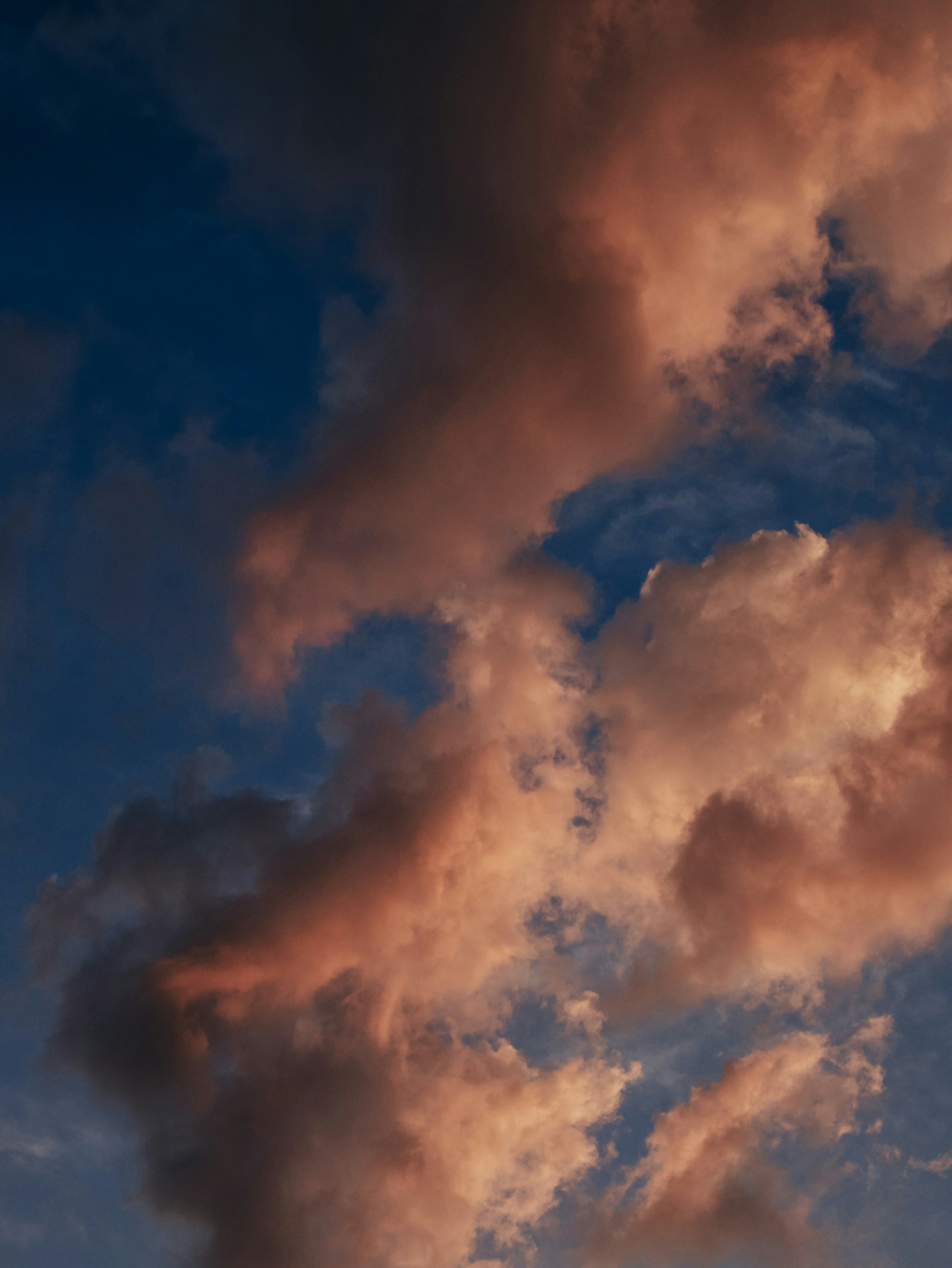 Photo by anny_happy_pie