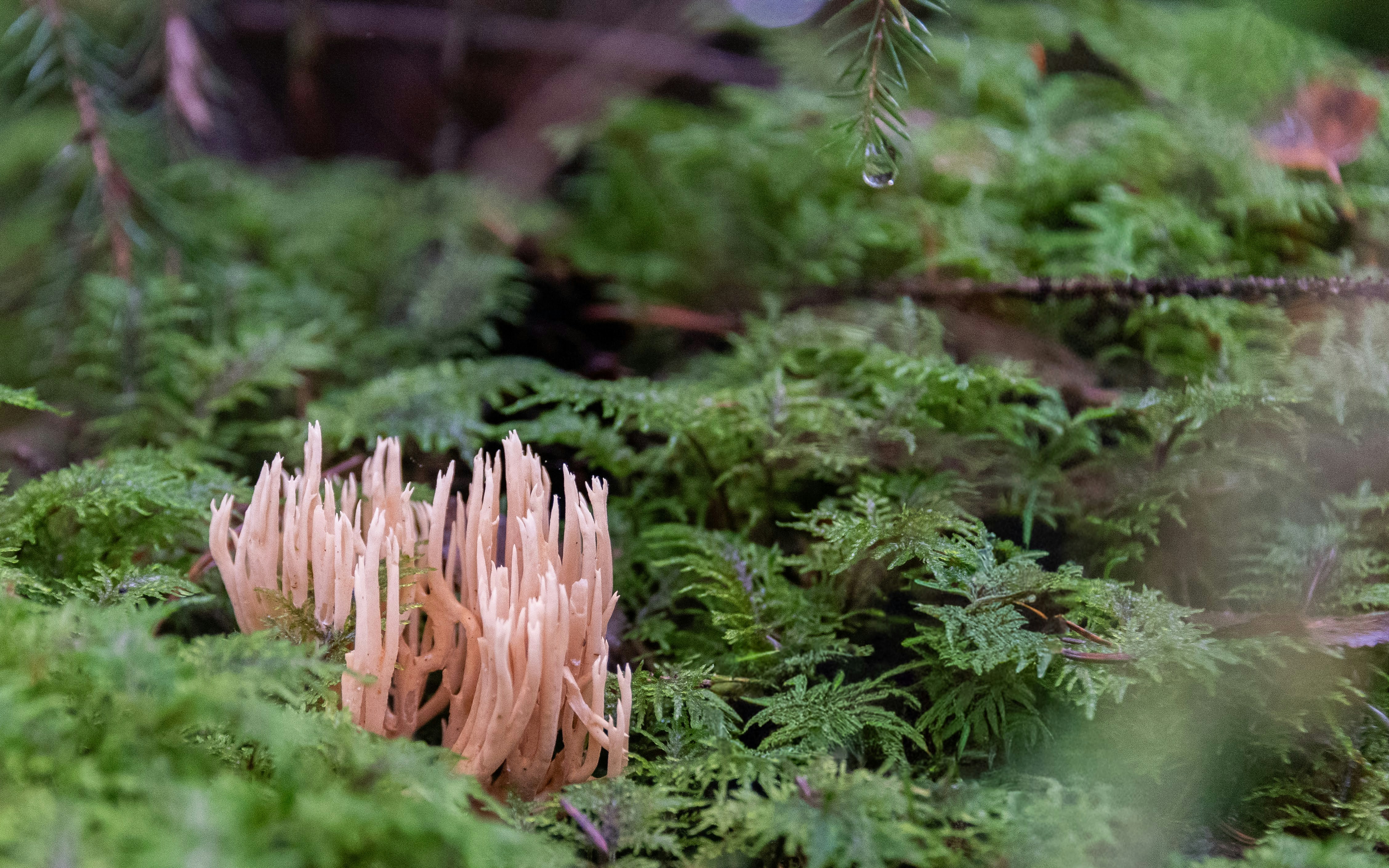 Photo by translytranslations