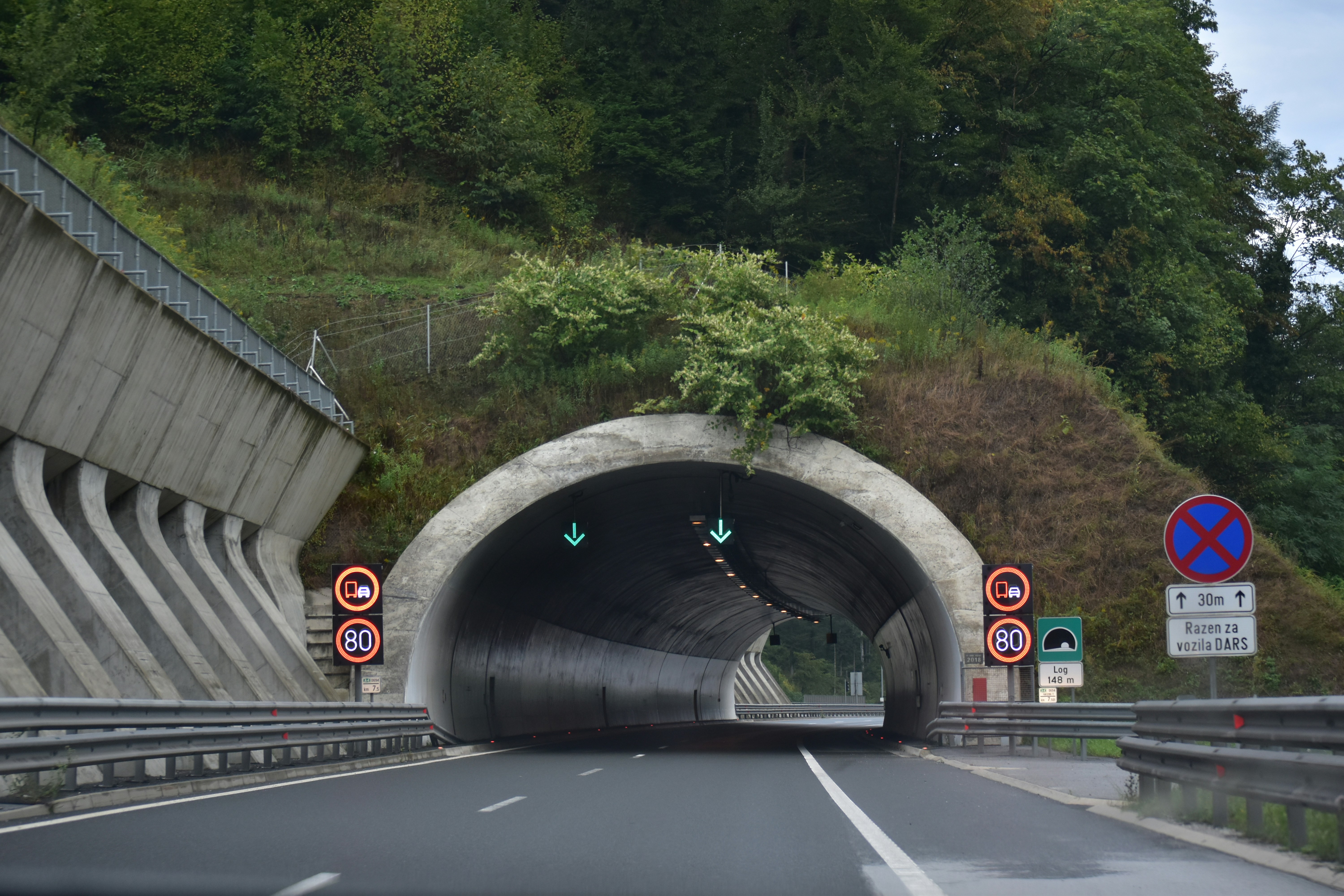 Entrance to a concrete highway tunnel surrounded by trees