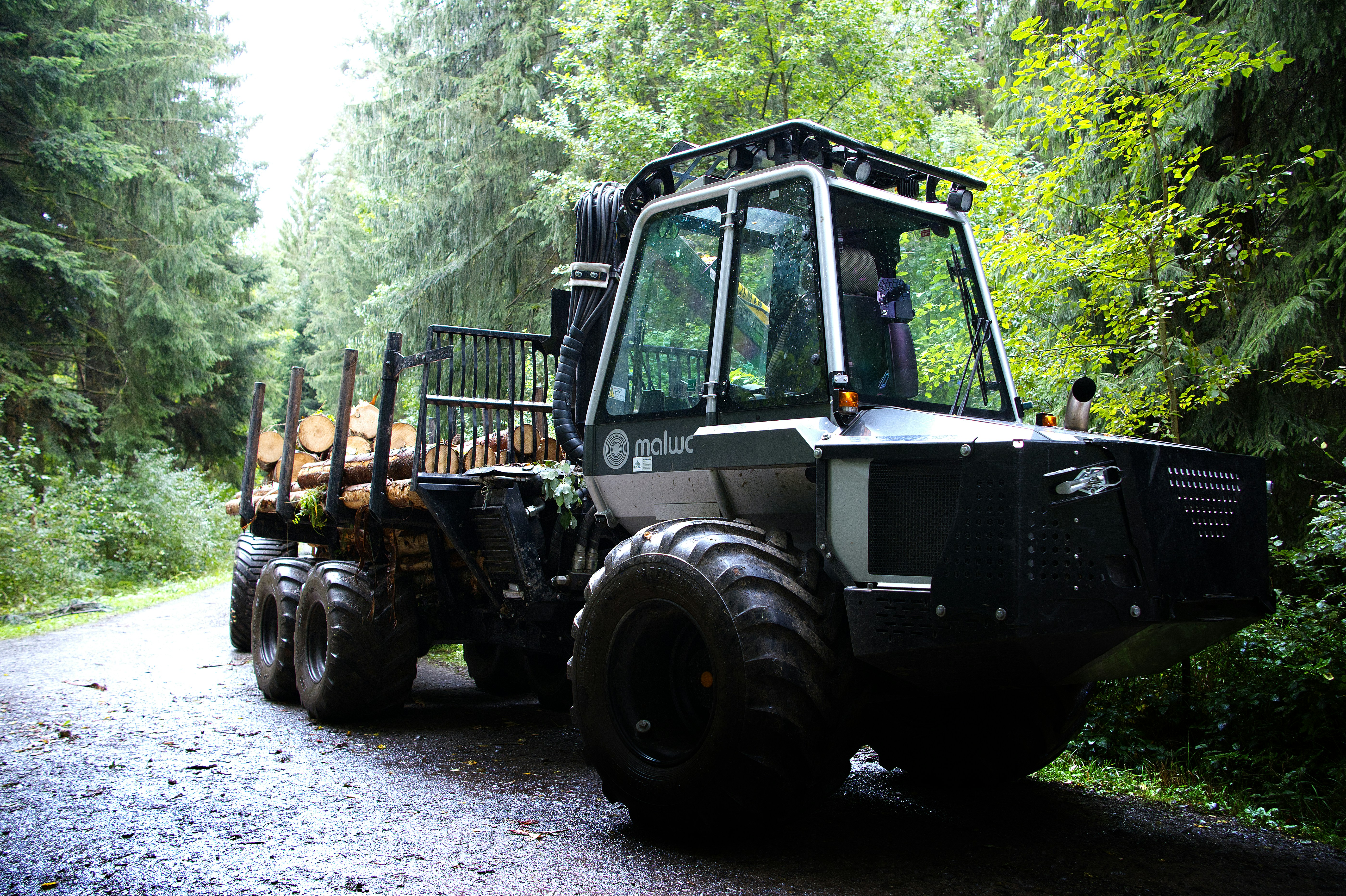 Weyerhaeuser – Langweilig, solide, profitabel
