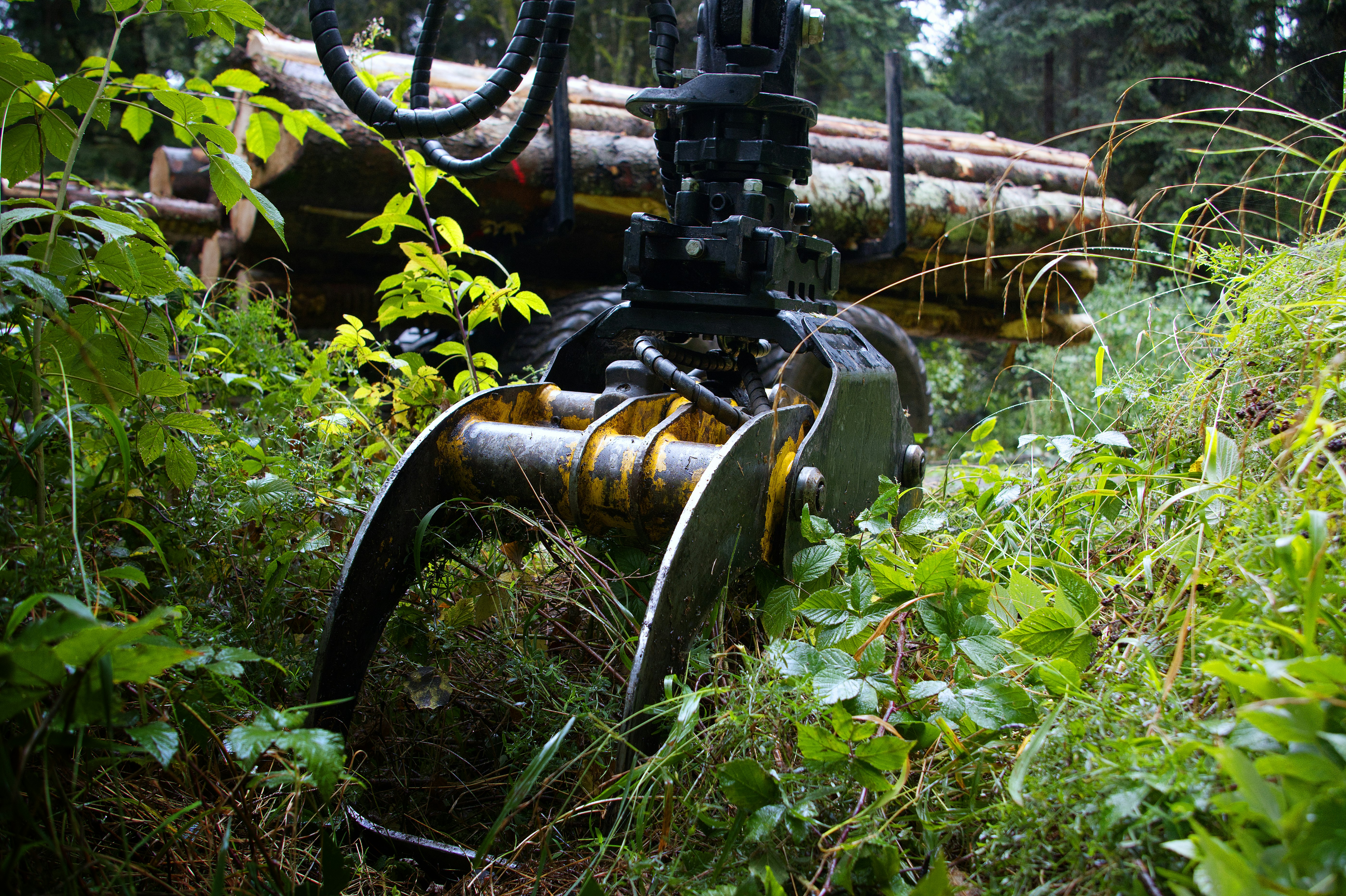 Checkmk Raw Edition features