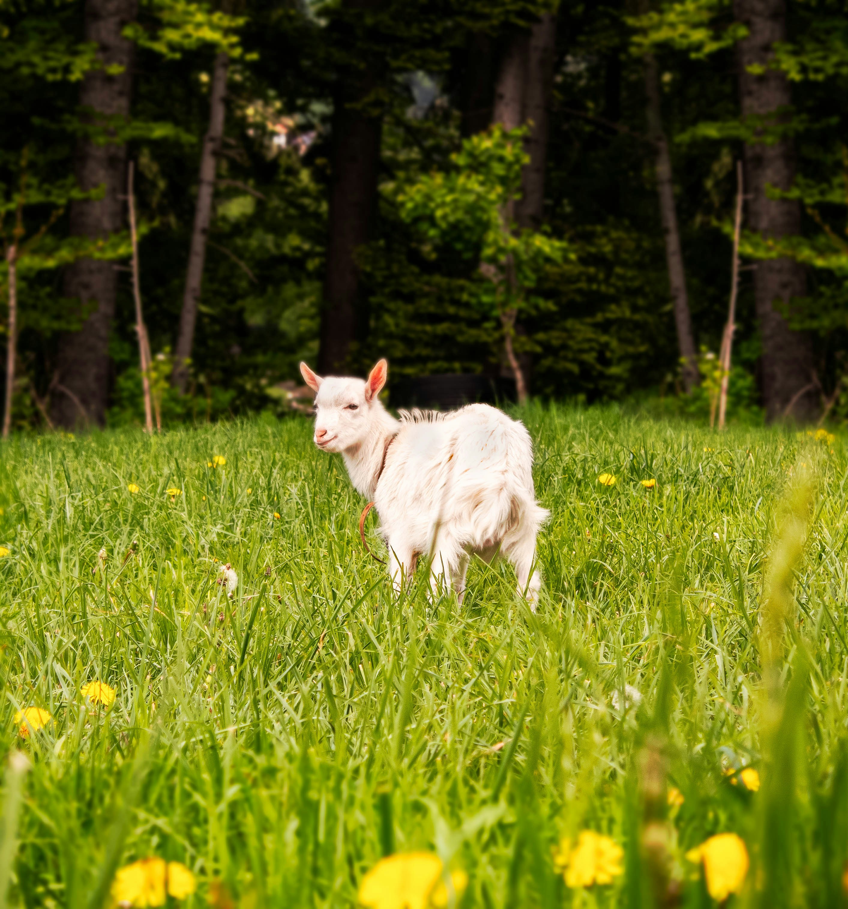 Photo by zuzkafotografuje